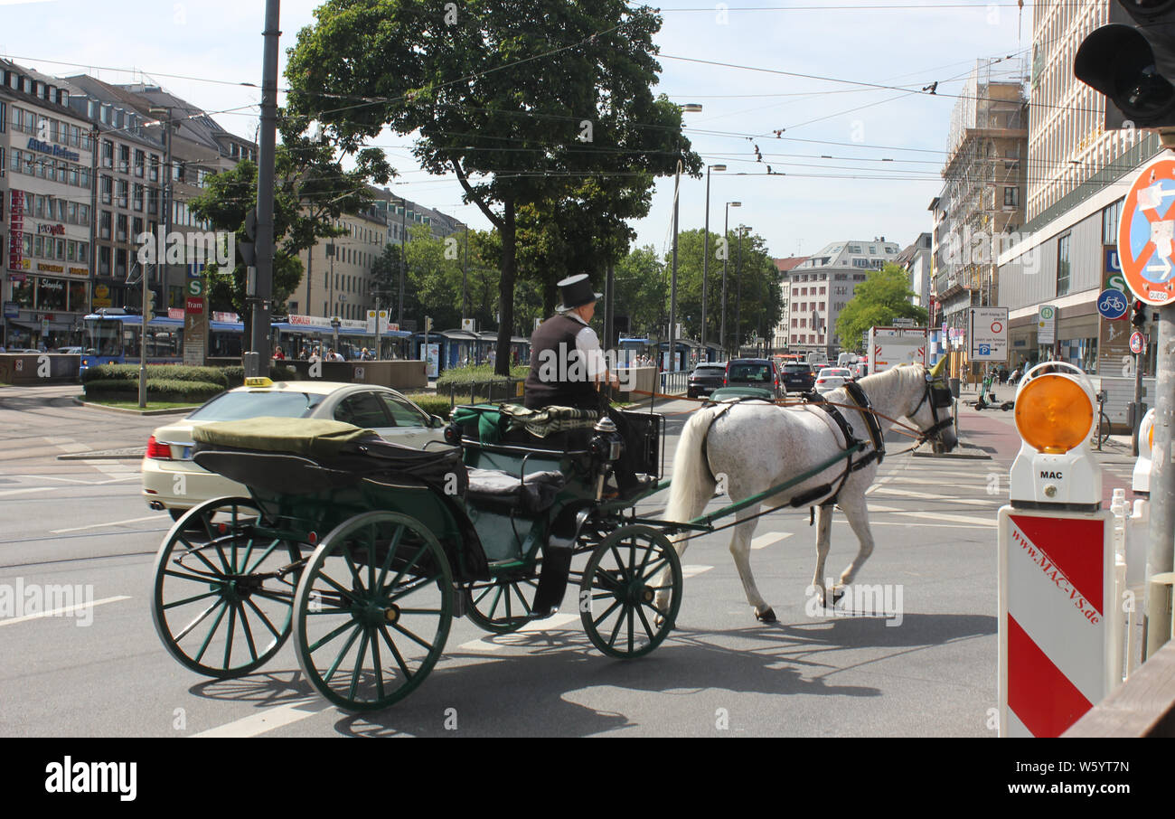 Four wheeled one horse carriage passing through the traffic in Munich city, Sonnenstraße. Stock Photo