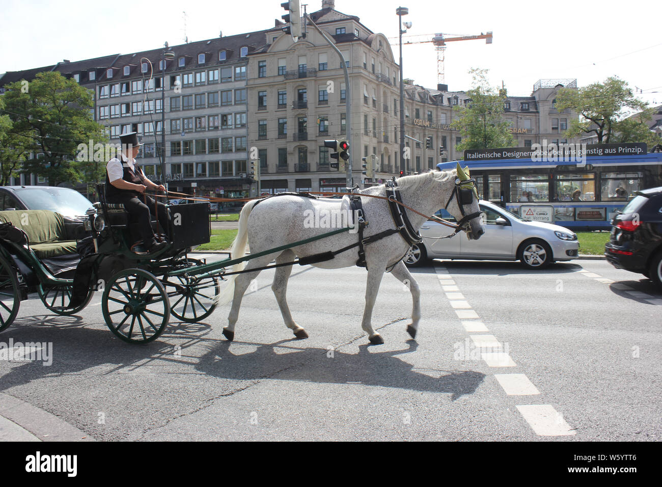 Four wheeled one horse carriage passing through the traffic in Munich city, Sonnenstraße. Stock Photo