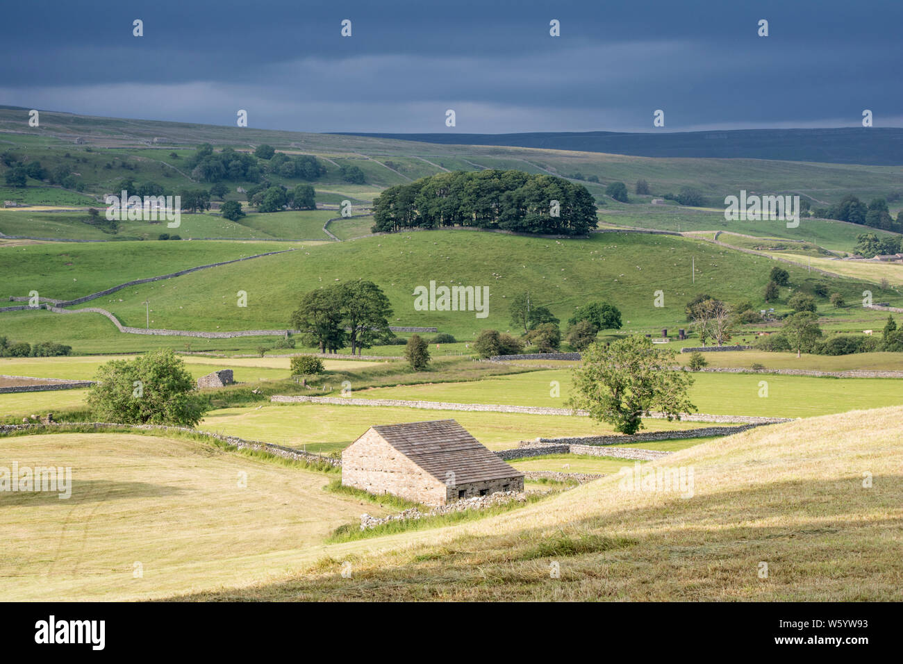 Wensleydale landscape, Yorkshire Dales National Park, North Yorkshire, England, UK Stock Photo