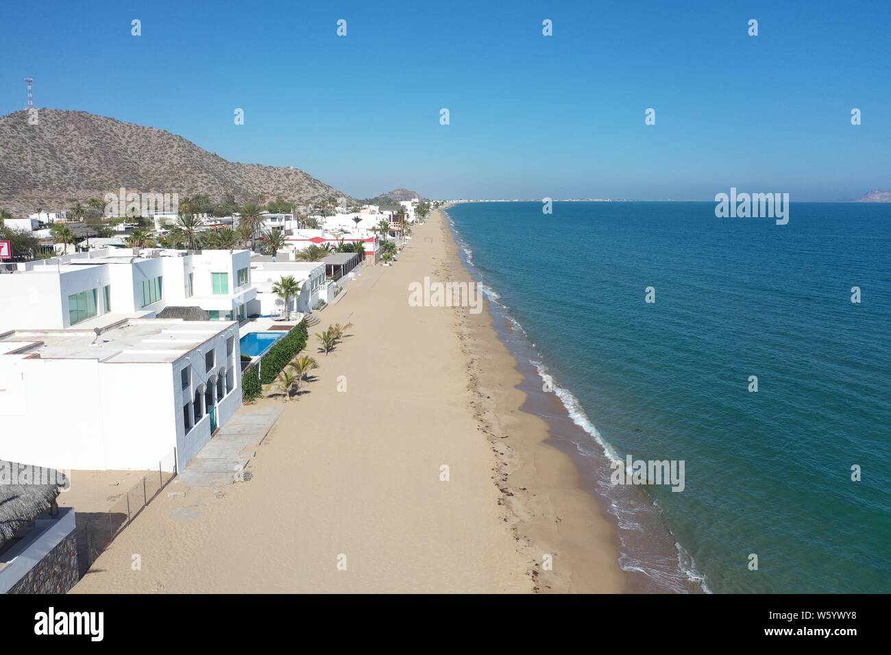 alamy