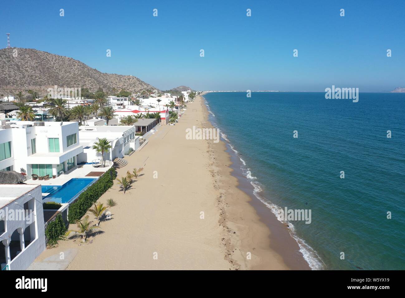 alamy