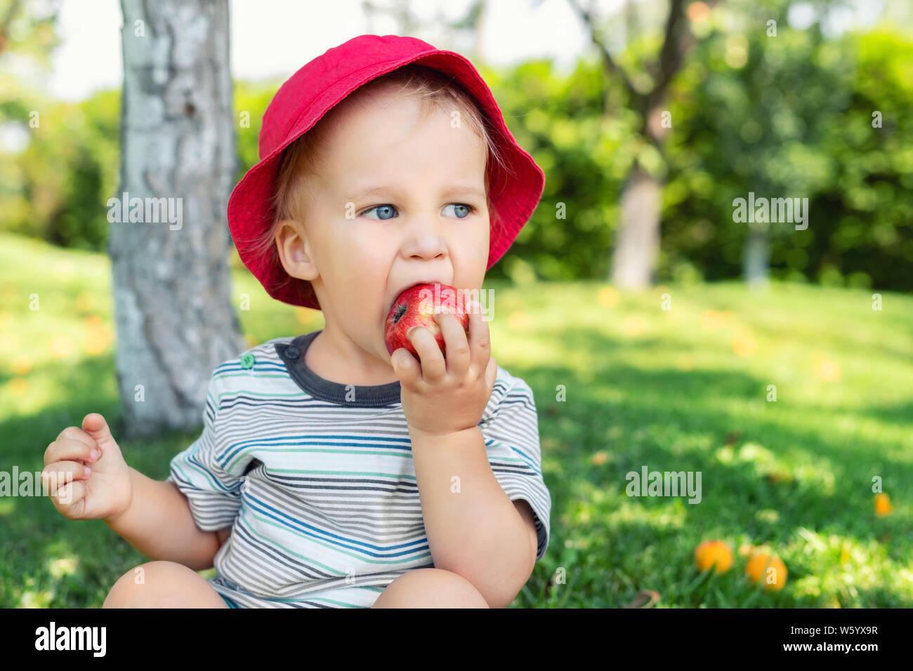 Portrait of happy Cute adorable toddler boy sitting on green grass ...