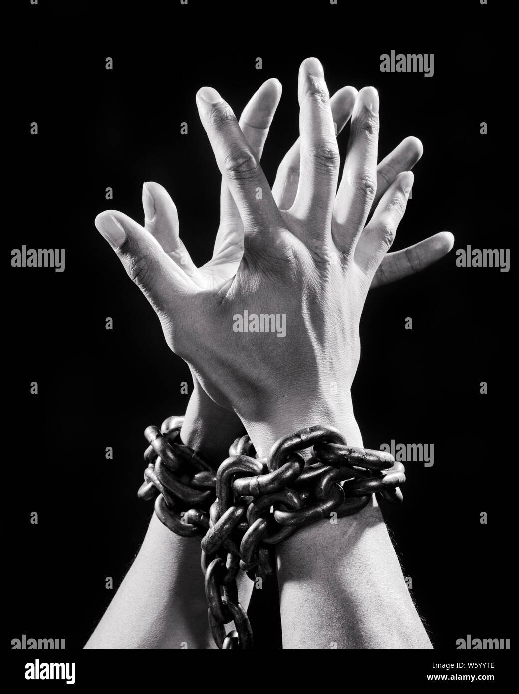1970s HANDS OF A MAN PRISONER BOUND WITH CHAINS REACHING UP OUT TOWARDS LIGHT AND FREEDOM - s18600 HAR001 HARS CHAINED LEADERSHIP LOW ANGLE PRISONER AGONY CAUGHT CHAINS A OF UP CONCEPT CONCEPTUAL ESCAPE SYMBOLIC CAPTIVE CONCEPTS MID-ADULT MID-ADULT MAN BLACK AND WHITE BOUND CAPTURED HANDS ONLY HAR001 OLD FASHIONED REPRESENTATION RESTRICTED Stock Photo