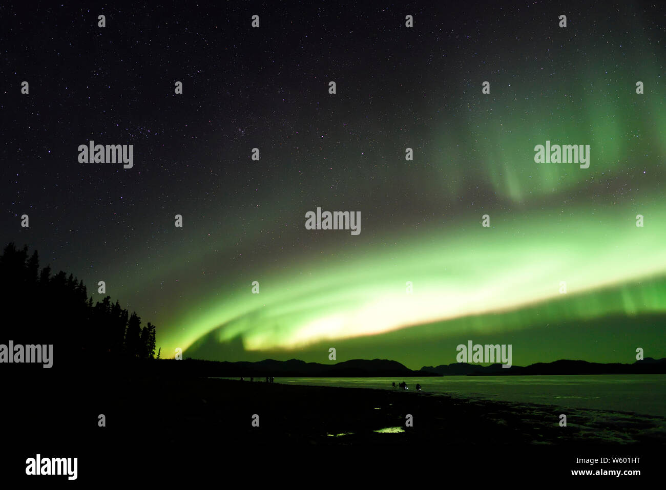 Aurora Borealis or Northern Lights from the shores of Lake Laberge north of Whitehorse, Yukon, Canada Stock Photo