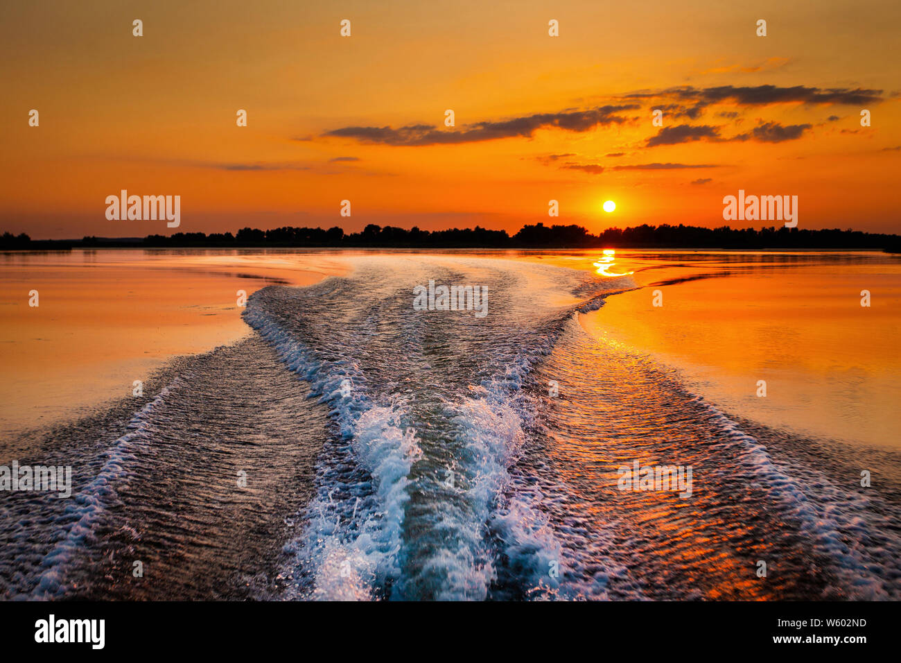 Sailing through beautiful areas of Danube Delta unique landscape at ...