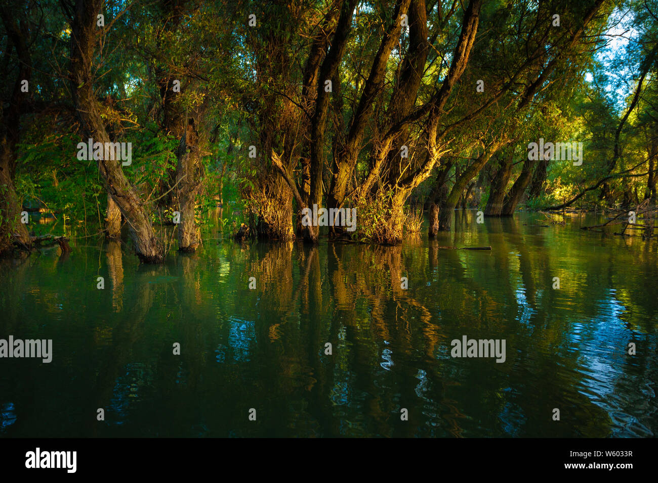 Beautiful areas of the Danube Delta unique landscape at sunset Stock ...