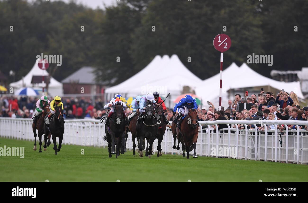Horse racing furlong marker hires stock photography and images Alamy