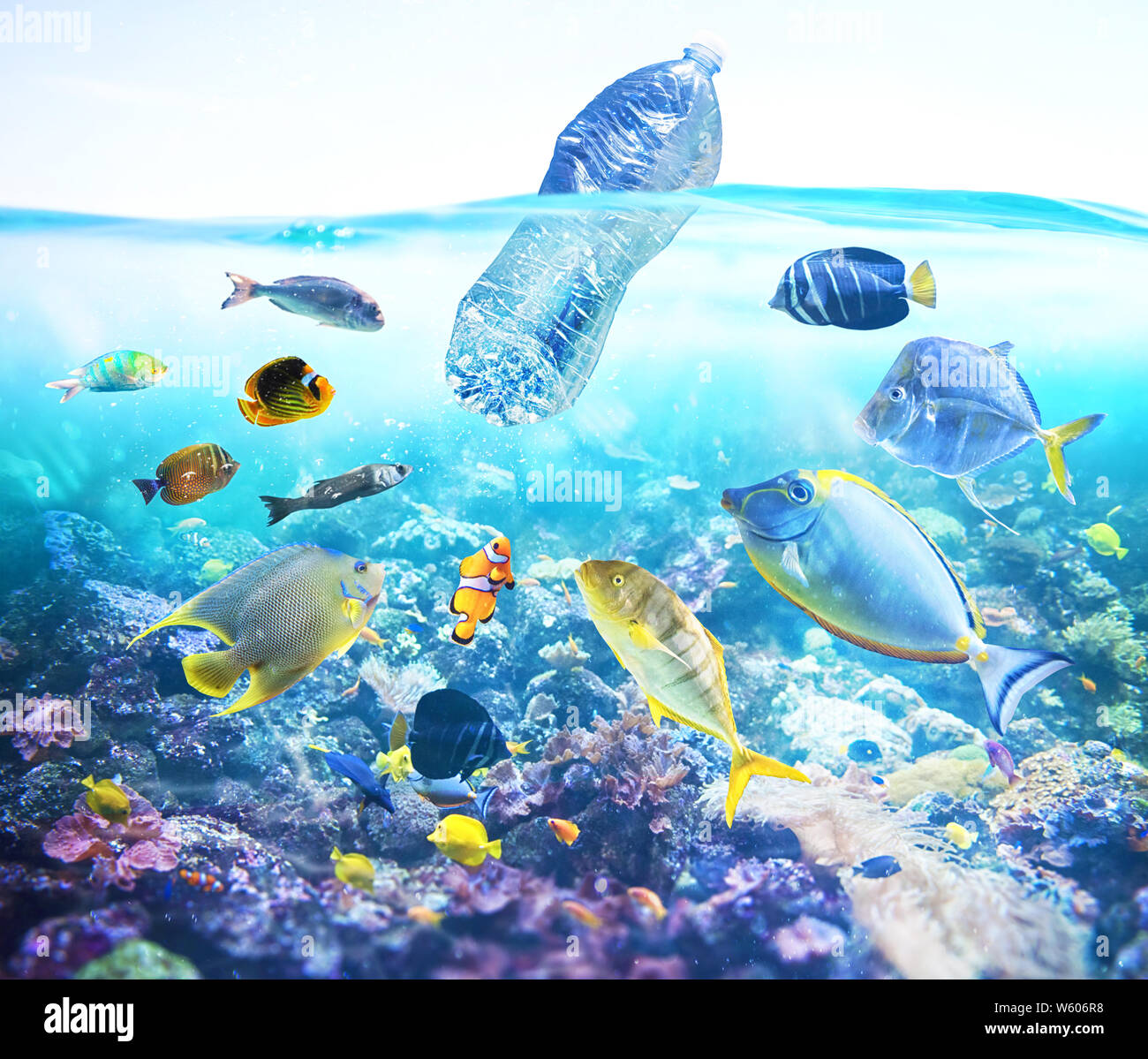 Fishes watch a floating bottle. Problem of plastic pollution under the sea concept. Stock Photo