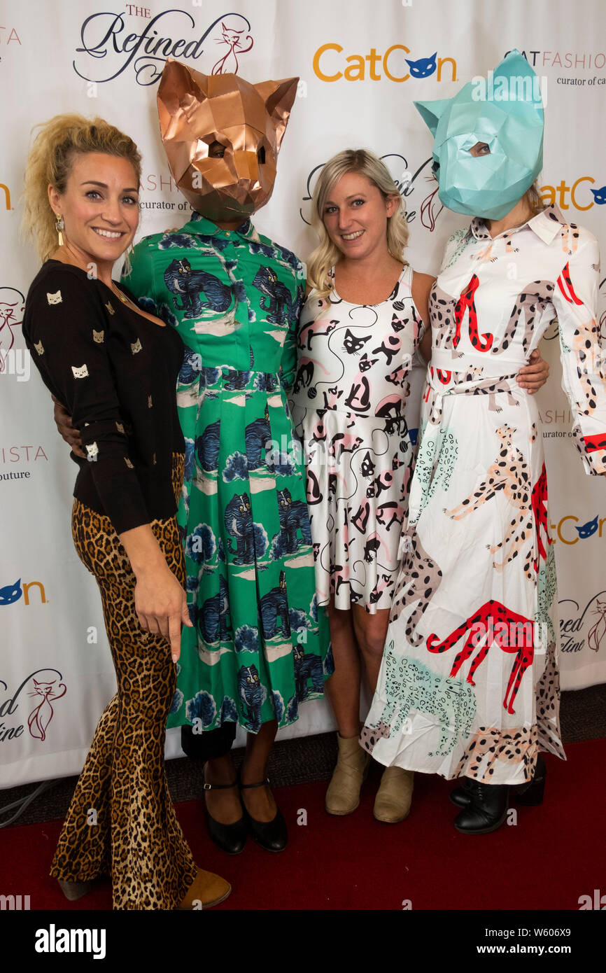 Cat fashionista hires stock photography and images Alamy