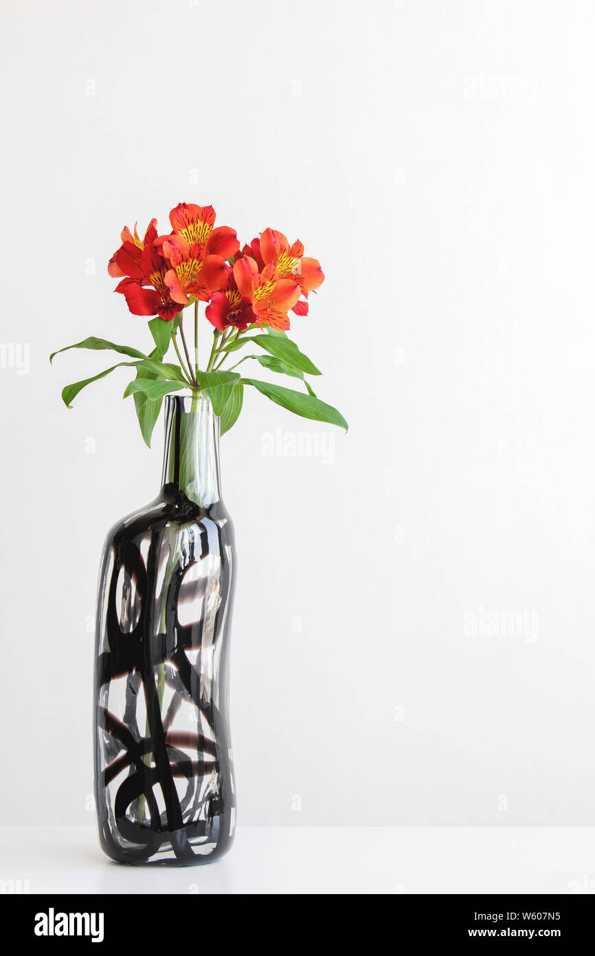 Tall red alstroemeria in glass vase on table with white background. Elegant simple design with copy space for invitations, postcards, quotes, blogs, p Stock Photo