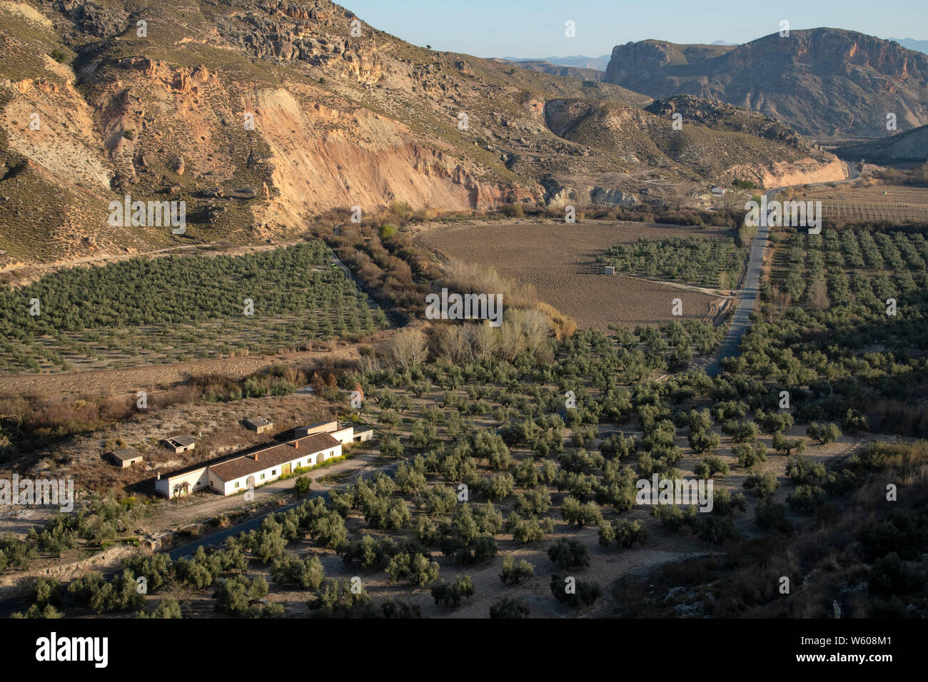 Europe, Iberia, Spain, Spanish, Southern, Andalusia, Farm near Balnearios de Alicun de las Torres Stock Photo