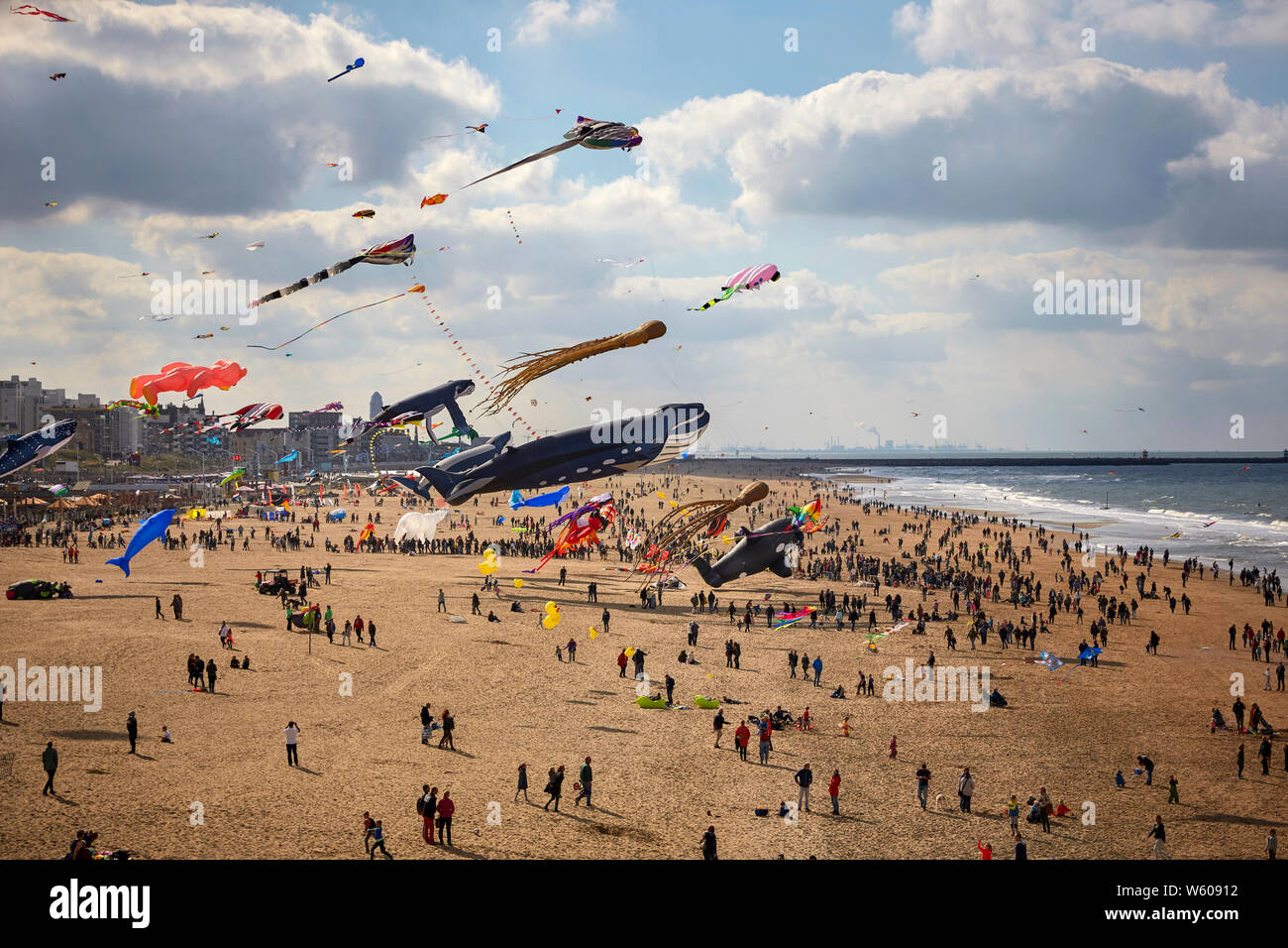 View of the giant kites floating on Scheveningen beach during the kite festival in The Hague. Stock Photo