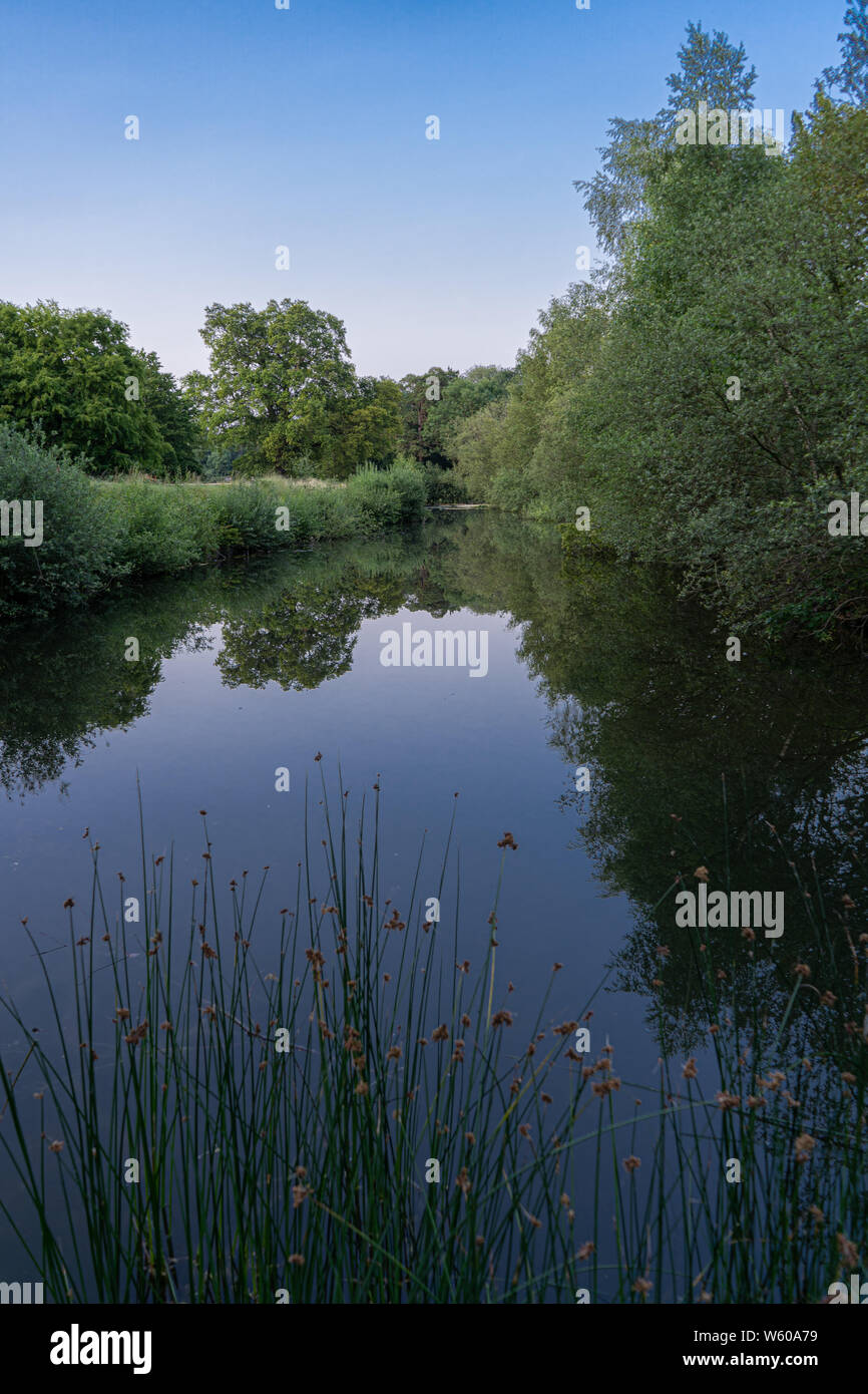 Sky and trees reflecting in lake Stock Photo - Alamy