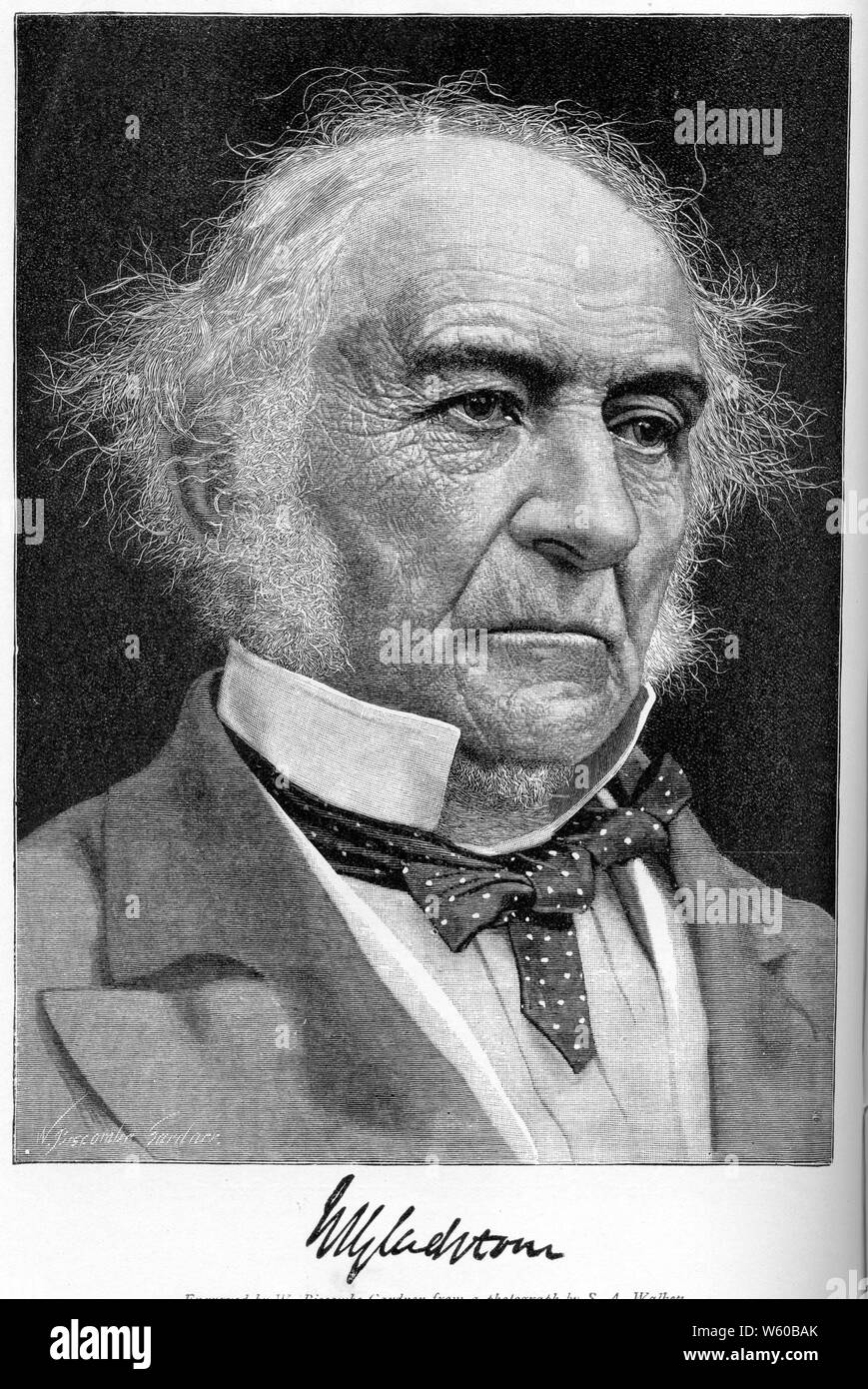 William Gladstone (1809-1898), c1892. By William Biscombe Gardner (1847-1919) after Samuel Alexander Walker (1841-1922). William Ewart Gladstone (1809-1898) was a British Liberal statesman who served as Prime Minister on four separate occasions. Gladstone was also Britain's oldest Prime Minister and was 84 when he resigned for the last time. Stock Photo