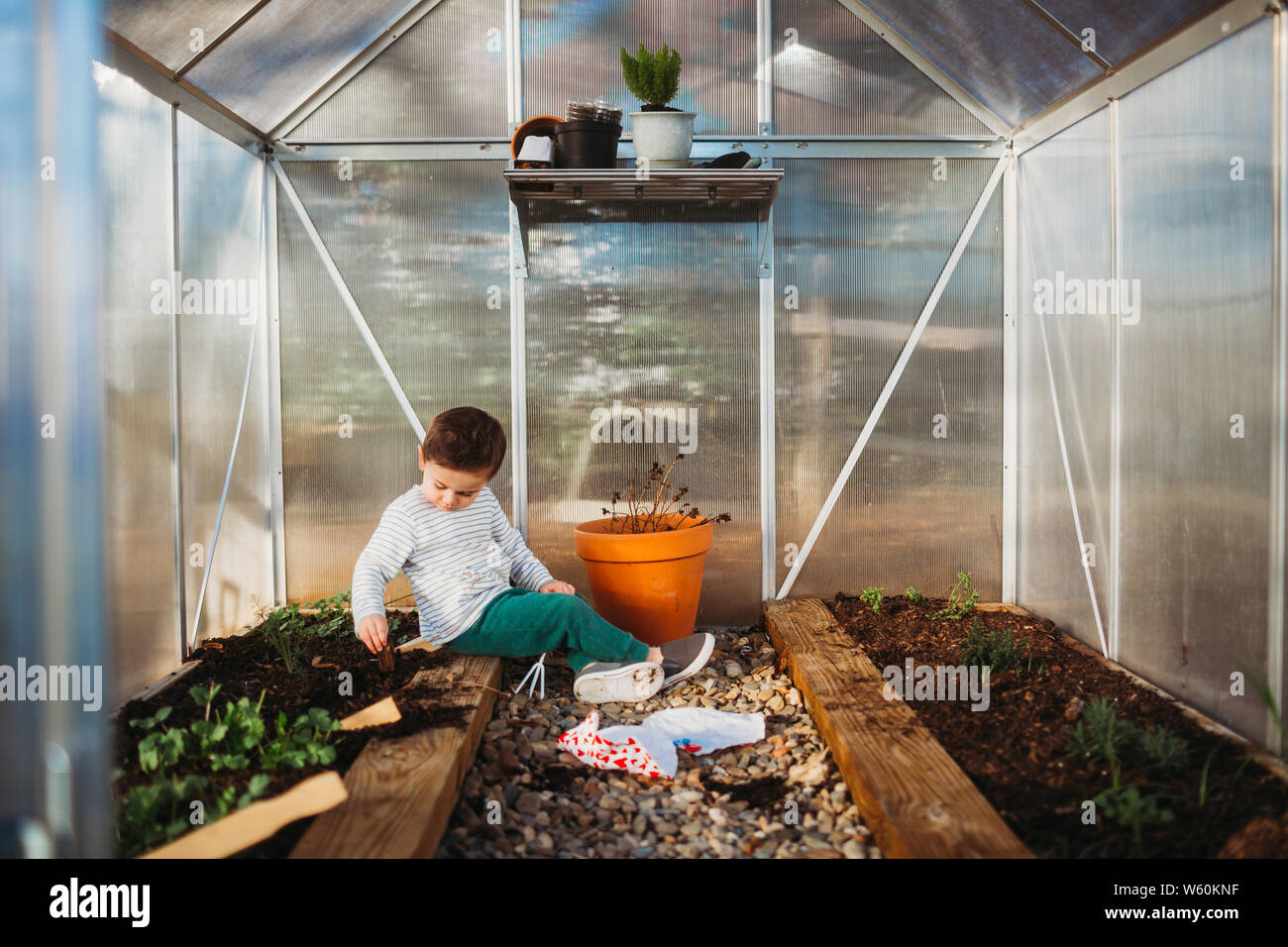 Young boy sitting inside back yard green house Stock Photo