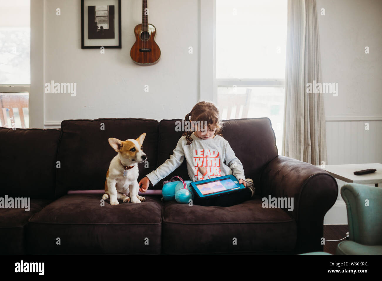 Young girl petting corgi puppy while playing tablet on couch Stock Photo