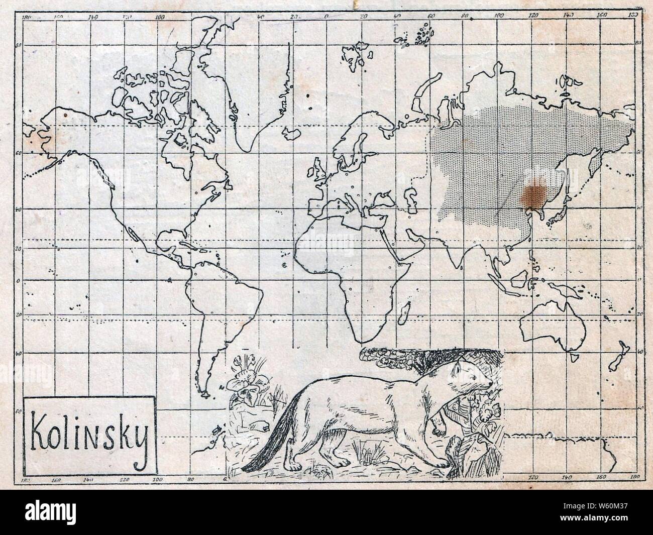 Das Kürschner-Handwerk, 3. Teil, S. 27, Weltkarte Verbreitung des Kolinskys. Stock Photo