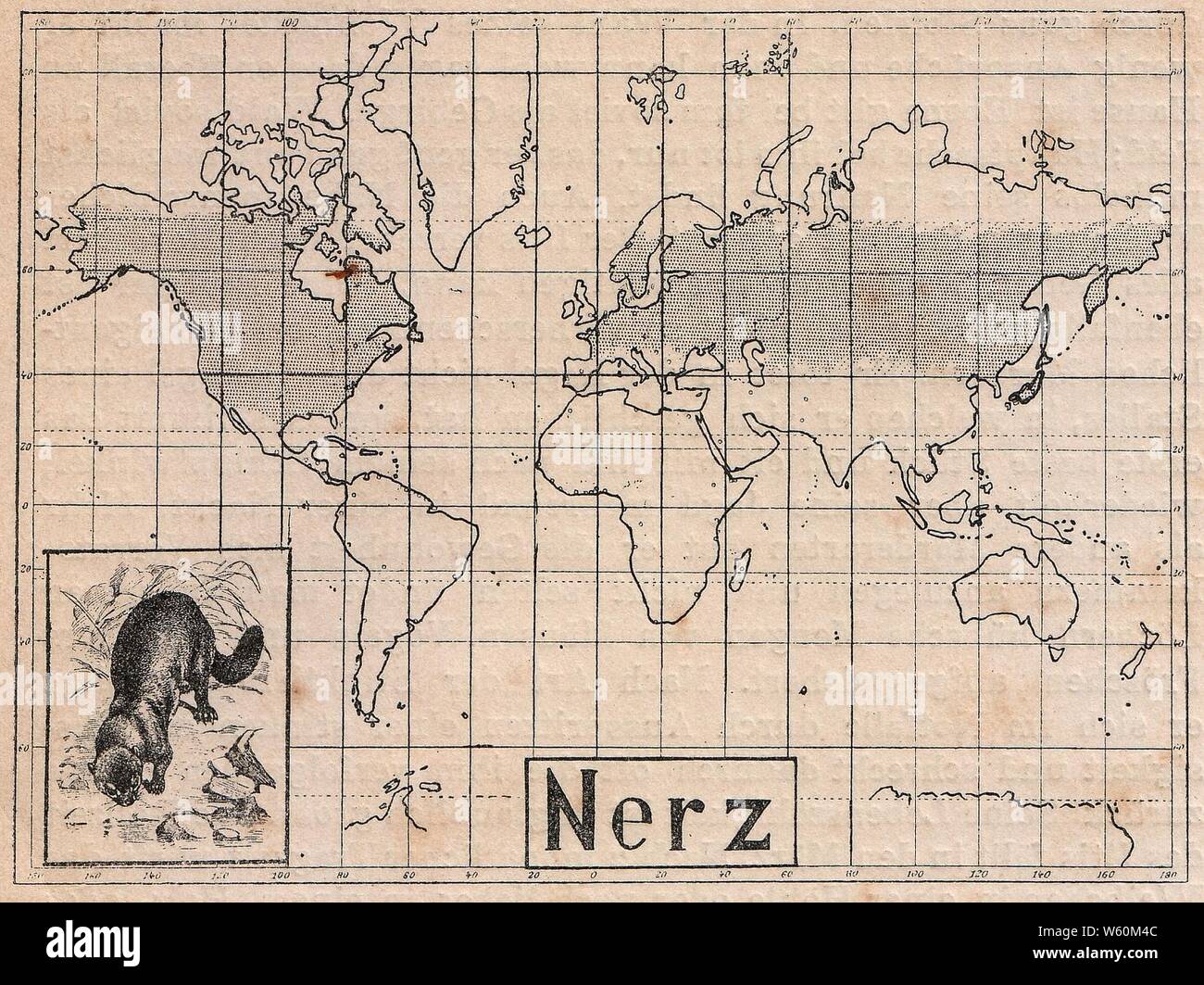 Das Kürschner-Handwerk, 3. Teil, S. 30, Weltkarte Verbreitung des Nerzes. Stock Photo