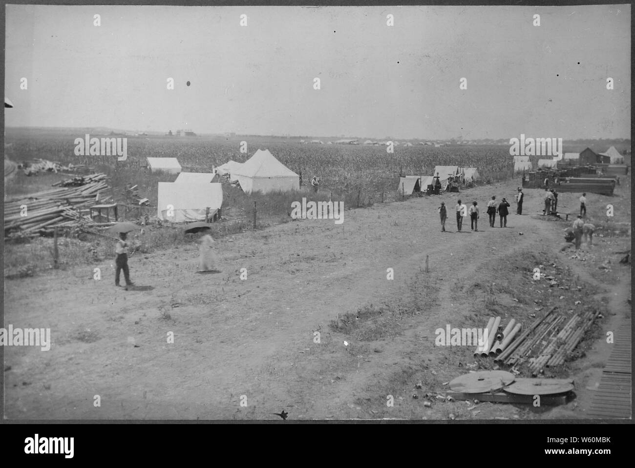 Anadarko Townsite [OkIa. Terr.] Aug. 6, [1901]--a cornfield. Stock Photo