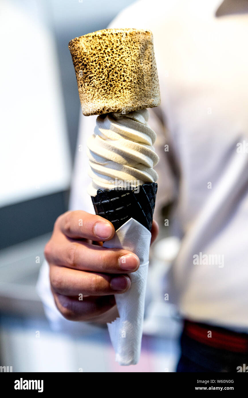 Soft serve ice cream with burnt marshmallow at Soft Serve Society