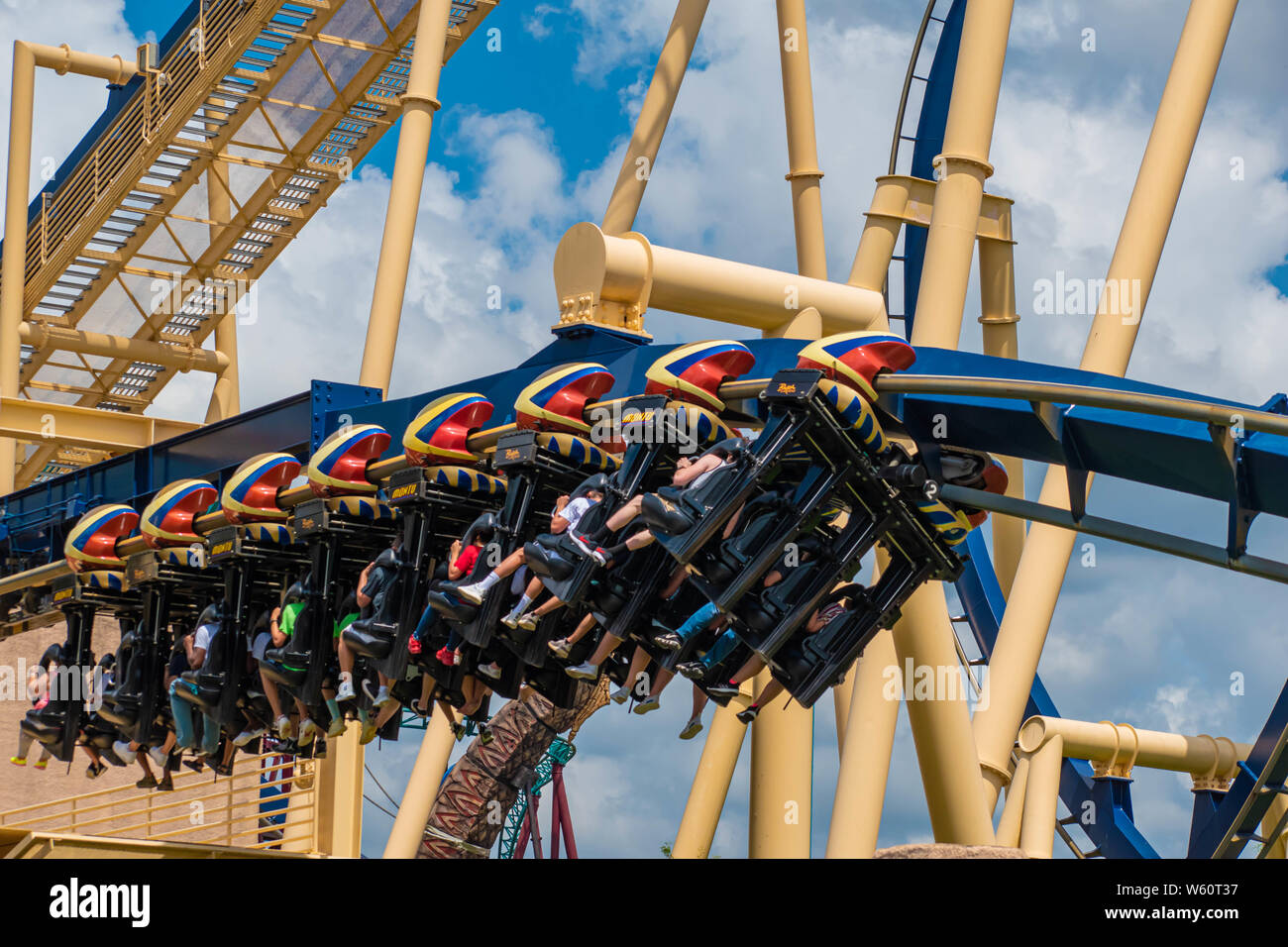 Busch Gardens Africa » Montu » montu-turn1.jpg