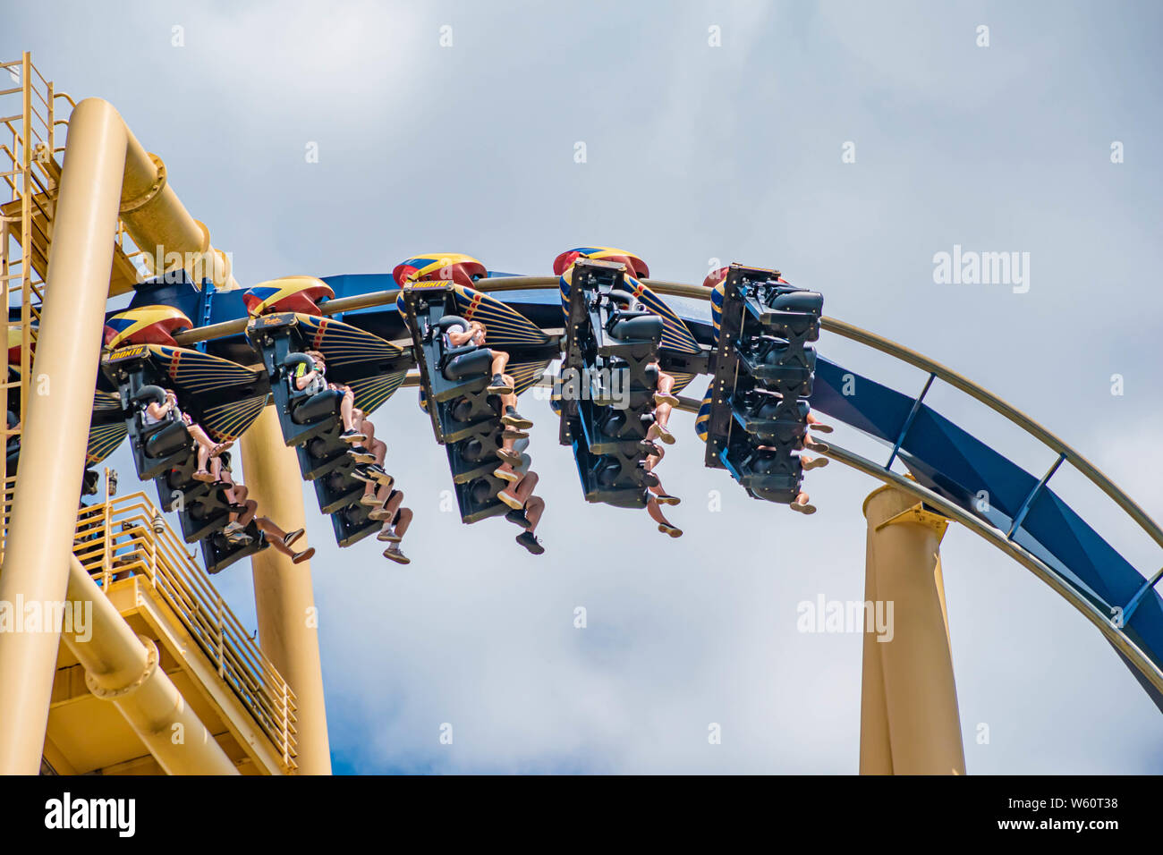 Montu roller coaster busch gardens hi-res stock photography and images ...