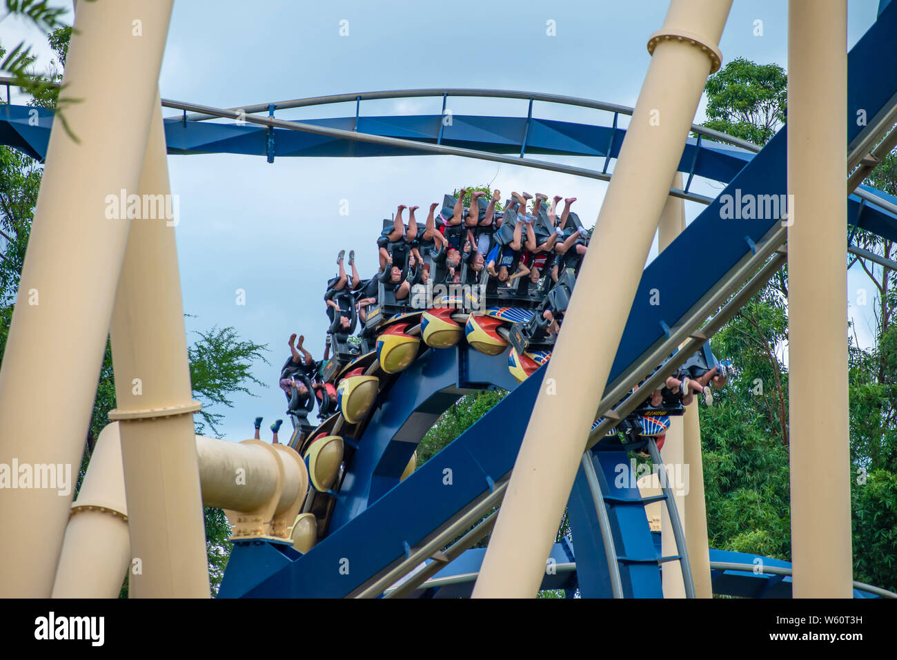 Busch gardens sheikra hi-res stock photography and images - Alamy