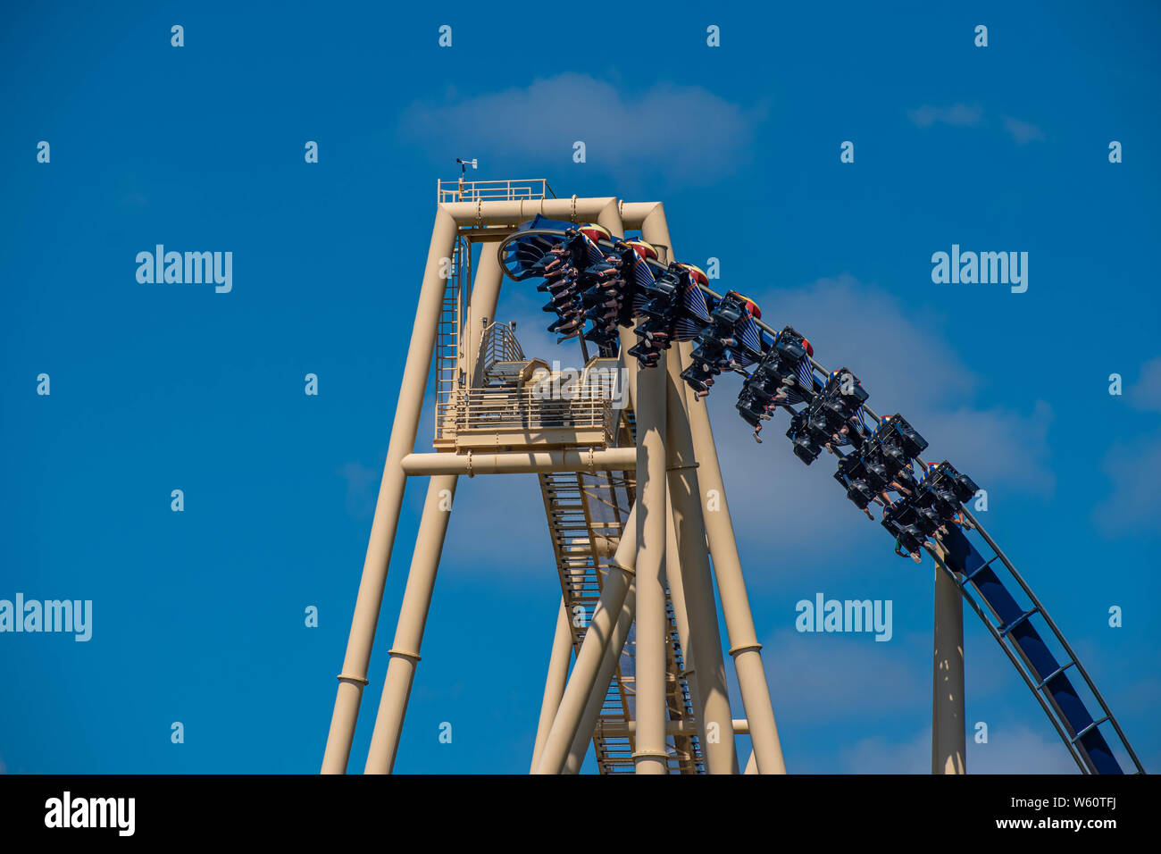 Montu roller coaster hi-res stock photography and images - Alamy