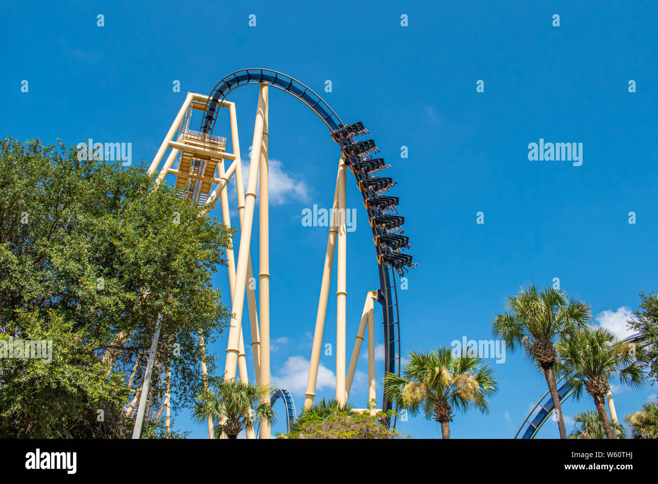 Montu - Busch Gardens Tampa (Tampa, Florida, United States)