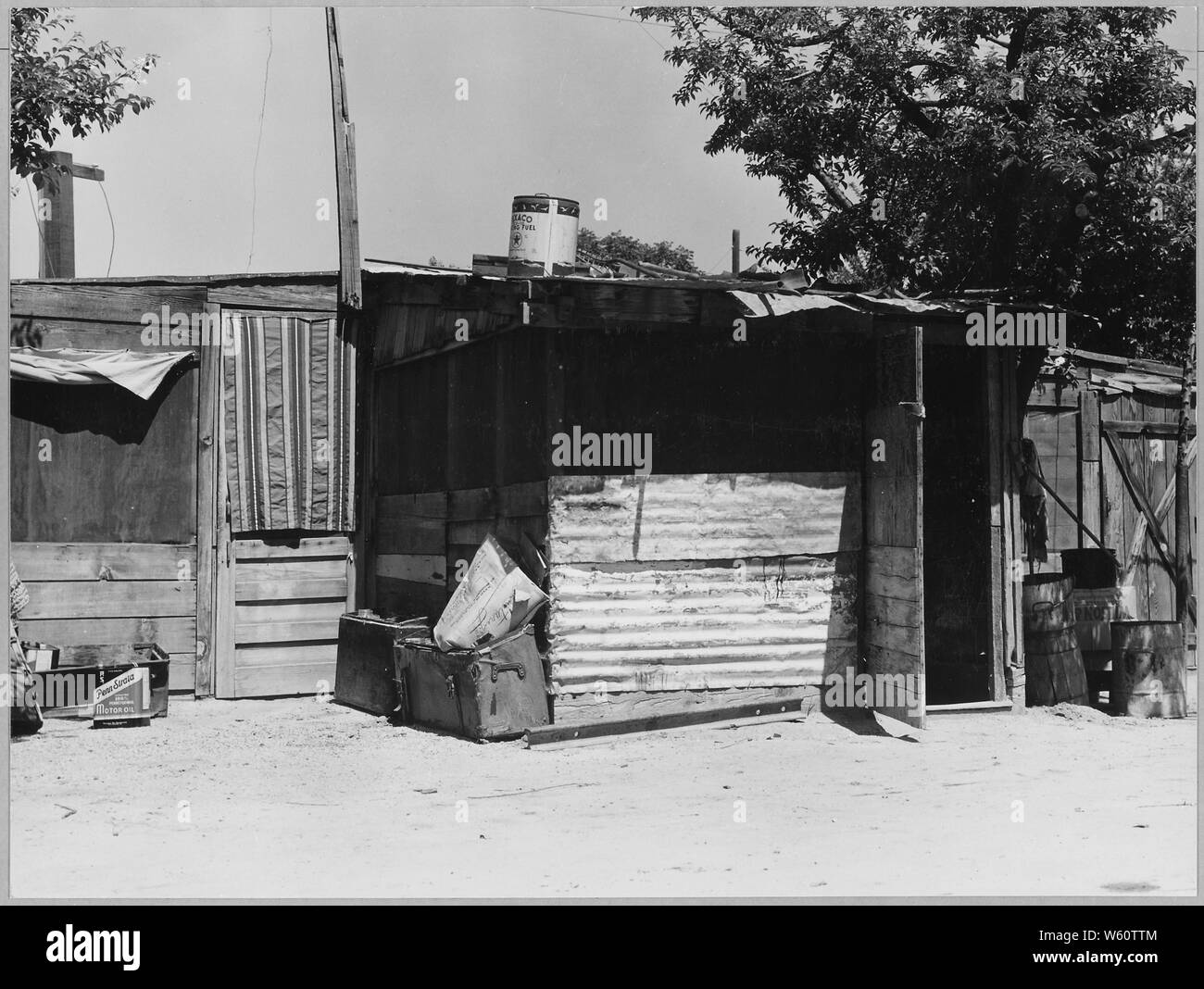 Arvin, Kern County, California. One in a community of shacks in subdivided orchard rented to agricul . . .; Scope and content:  Full caption reads as follows: Arvin, Kern County, California. One in a community of shacks in subdivided orchard rented to agricultural workers as permanent homes. Workers on and off relief. Shacks rent from $7 to $12 per month. No running water. Stock Photo