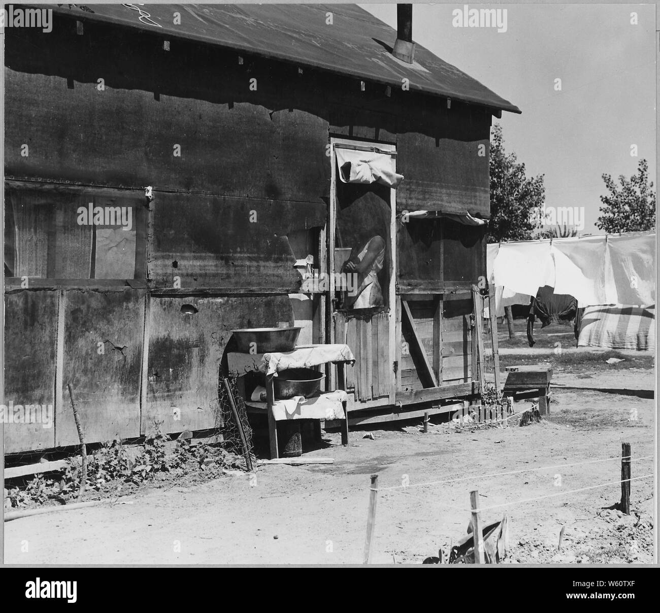 Arvin, Kern County, California. One in a community of shacks in subdivided orchard rented to agricul . . .; Scope and content:  Full caption reads as follows: Arvin, Kern County, California. One in a community of shacks in subdivided orchard rented to agricultural workers as permanent homes. Workers on and off relief. Shacks rent from $7 to $12 per month. No running water. Stock Photo