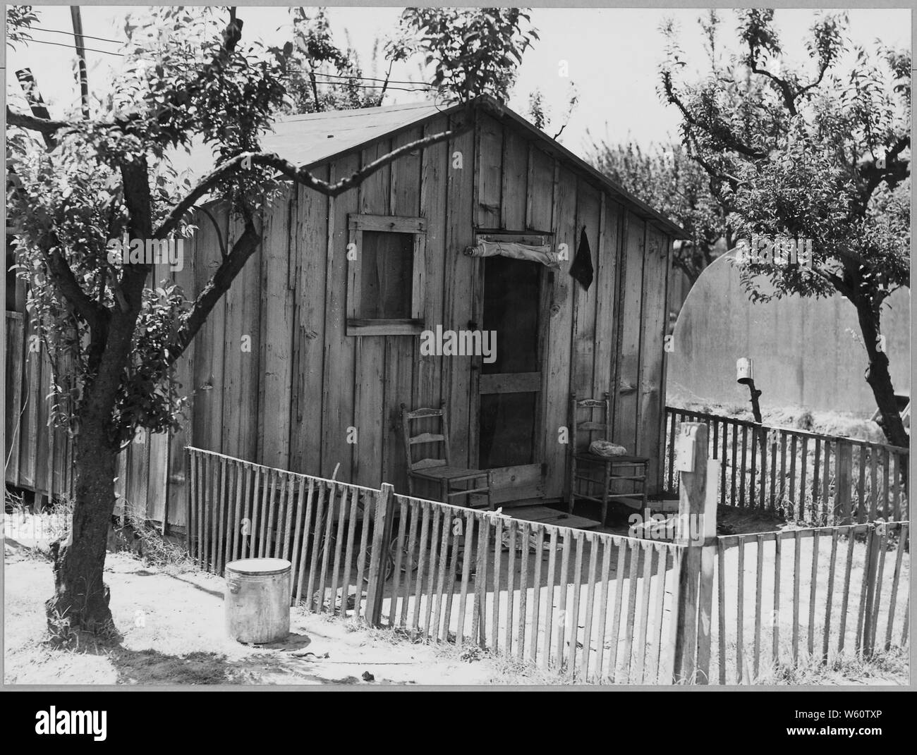 Arvin, Kern County, California. One in a community of shacks in subdivided orchard rented to agricul . . .; Scope and content:  Full caption reads as follows: Arvin, Kern County, California. One in a community of shacks in subdivided orchard rented to agricultural workers as permanent homes. Workers on and off relief. Shacks rent from $7 to $12 a month. No running water. Stock Photo