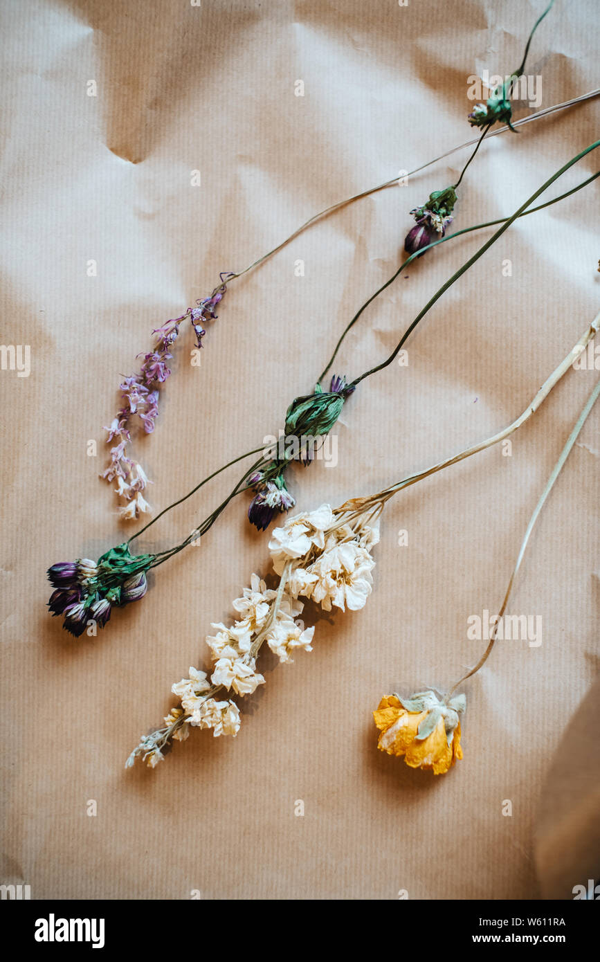 Dried flowers from The Plant Room in Leeds, Yorkshire. Stock Photo