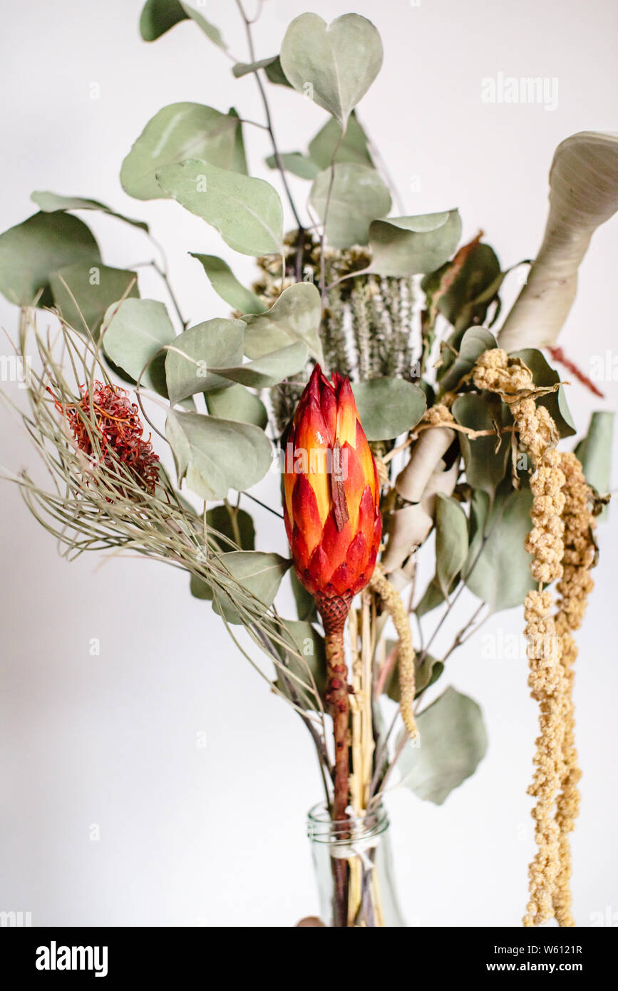 Dried flowers from The Plant Room in Leeds, Yorkshire Stock Photo Alamy