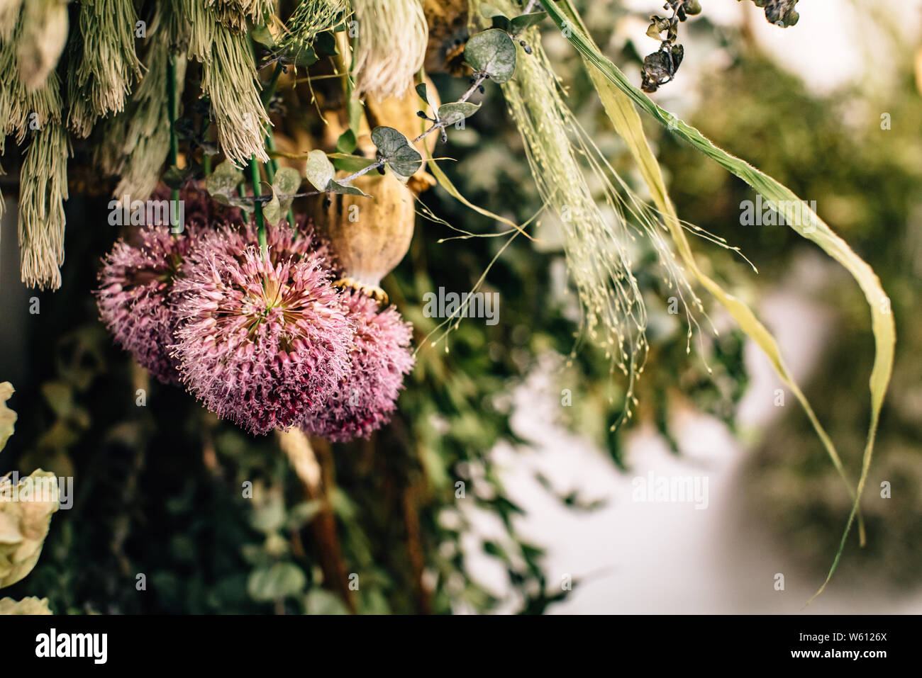 Dried flowers from The Plant Room in Leeds, Yorkshire Stock Photo Alamy