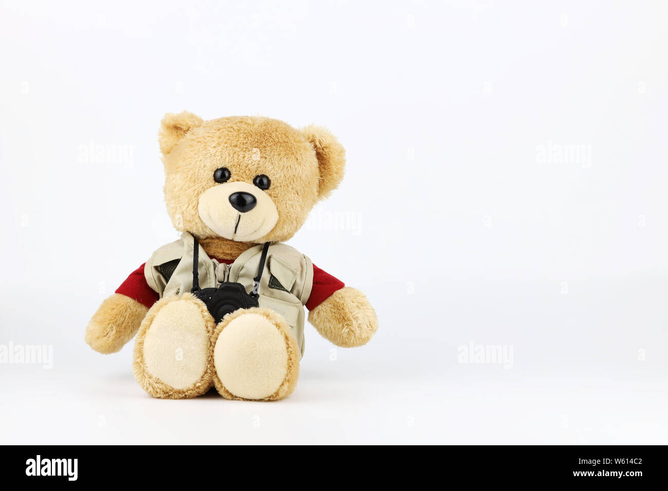 male teddy bear with camera isolated and white background Stock Photo ...
