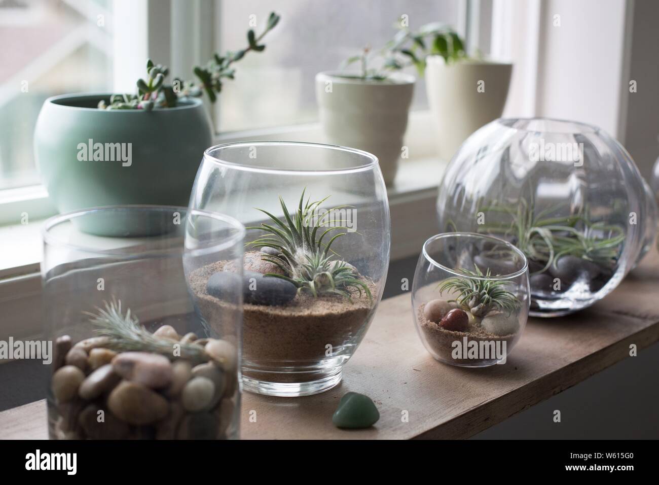 hanging mushroom planter Hanging Mushroom Planters