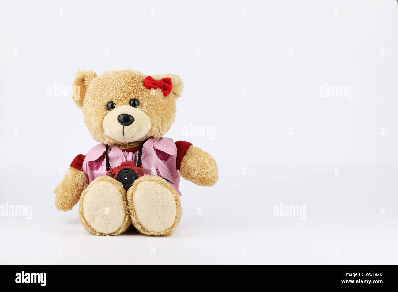 female teddy bear with camera isolated and white background Stock Photo