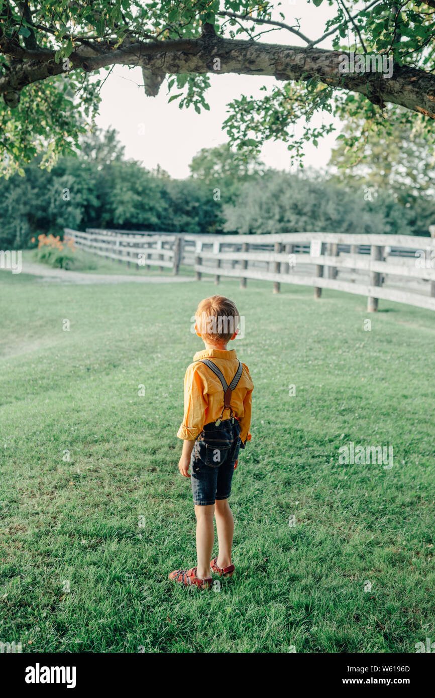 Little preschool Caucasian boy in yellow shirt and jeans shorts with suspenders standing alone in park country-side village on summer sunset. View fro Stock Photo