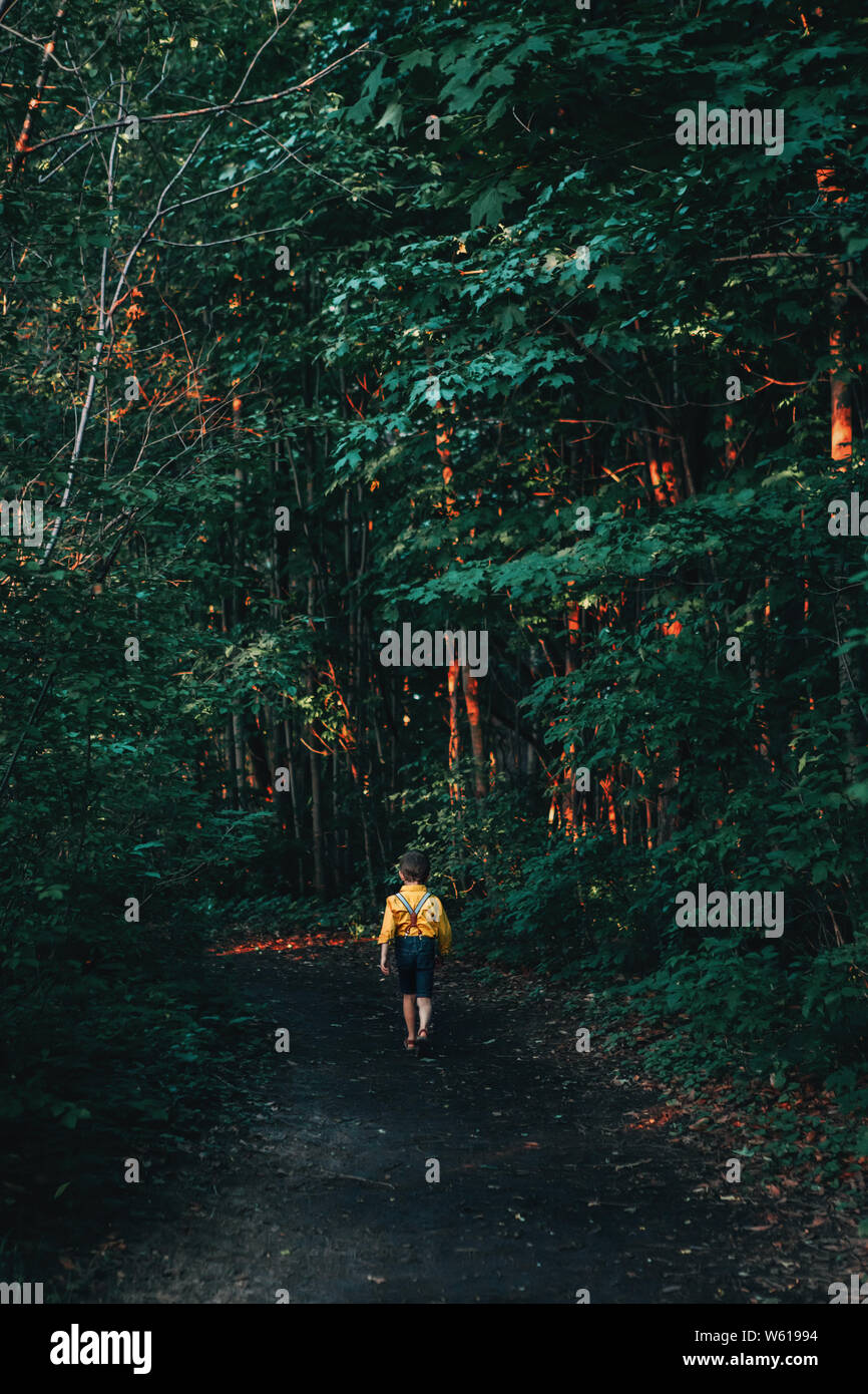 Child walking alone forest hi-res stock photography and images - Alamy