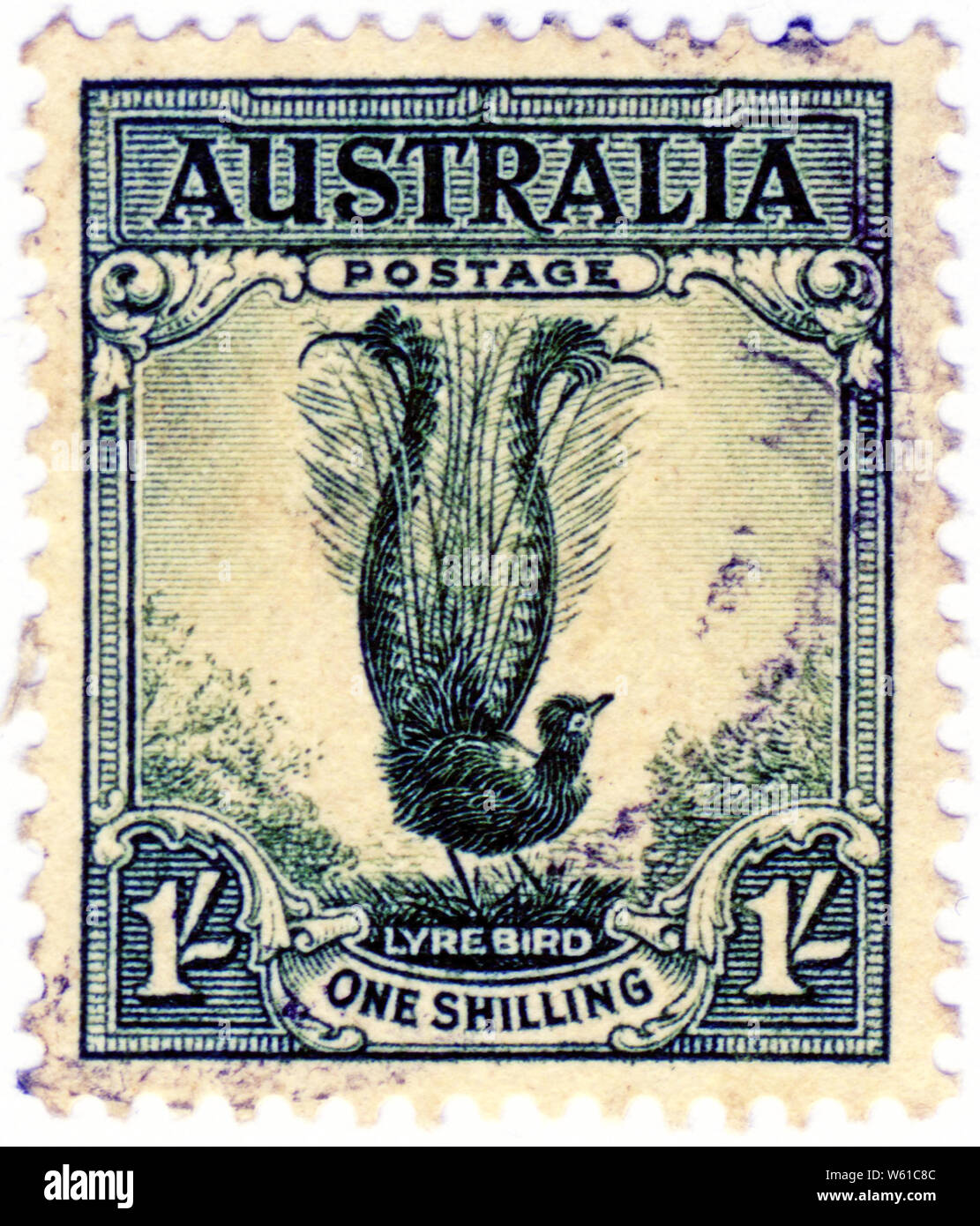 One shilling Australian stamp featuring the lyrebird, one of the iconic birds in the Australian bush Stock Photo
