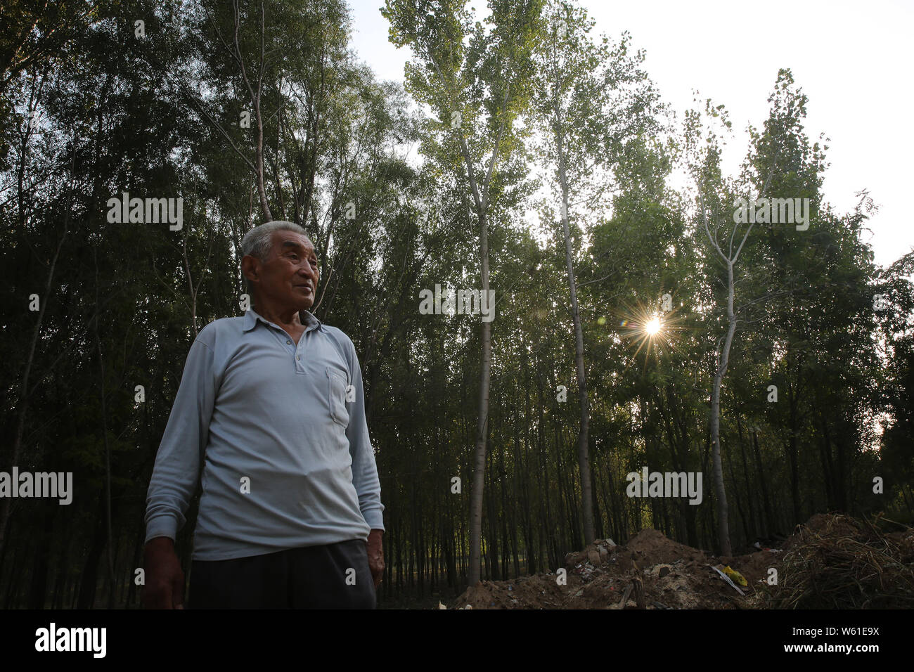 Chinese veteran Wu Hongfu, who shot down American reconnaissance aircraft U-2 twice in 1960s, poses in the field one day before China's Martyrs' Day i Stock Photo