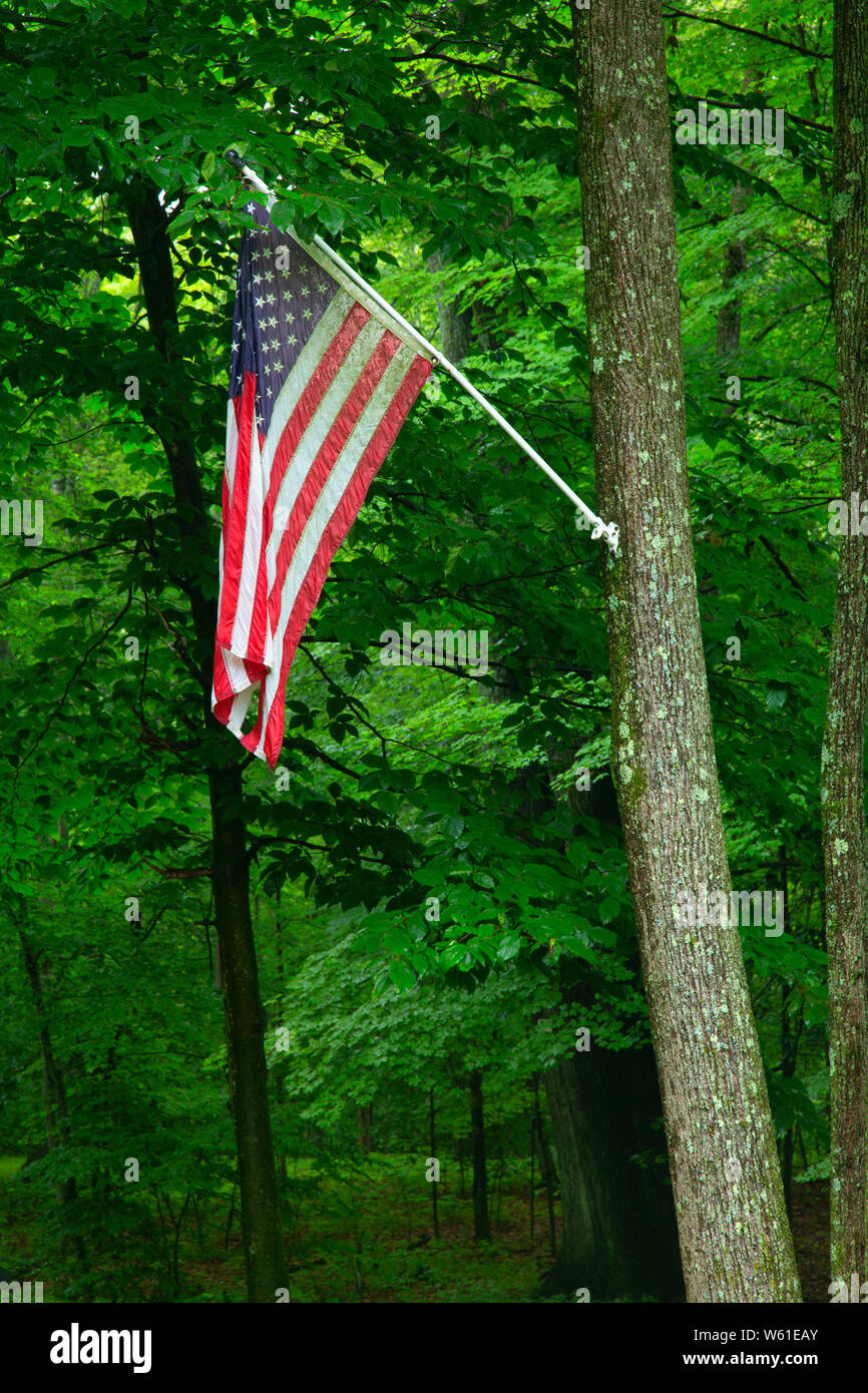 American flag along Quinnipiac River Gorge Trail, Meriden Linear Trail, Meriden, Connecticut Stock Photo