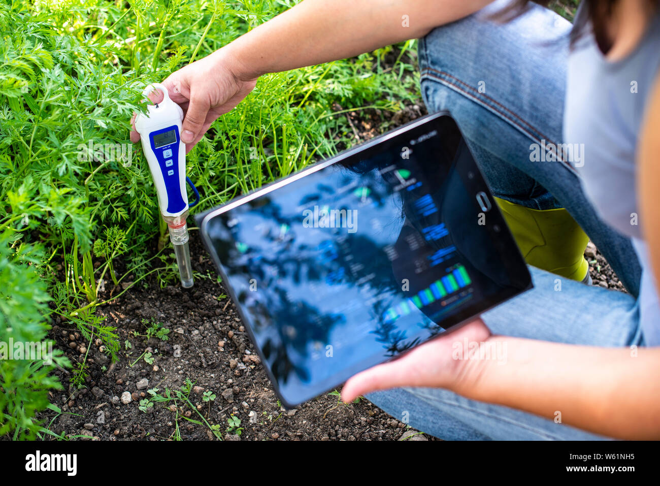 PH meter tester in soil. Measure soil with digital device and tablet ...