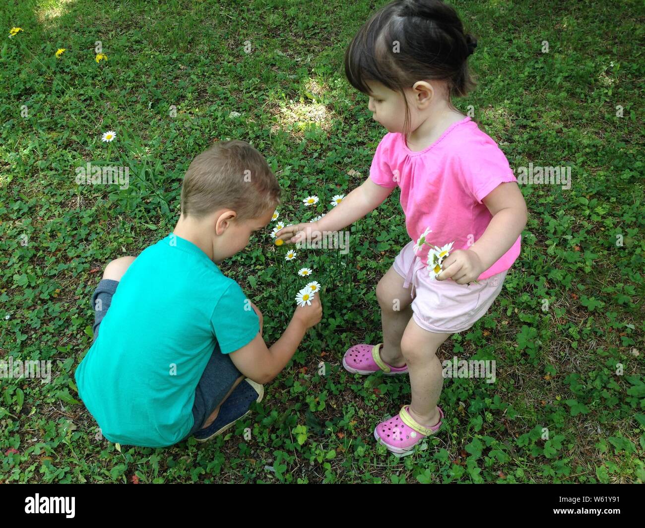 Children picking wild dasies Stock Photo