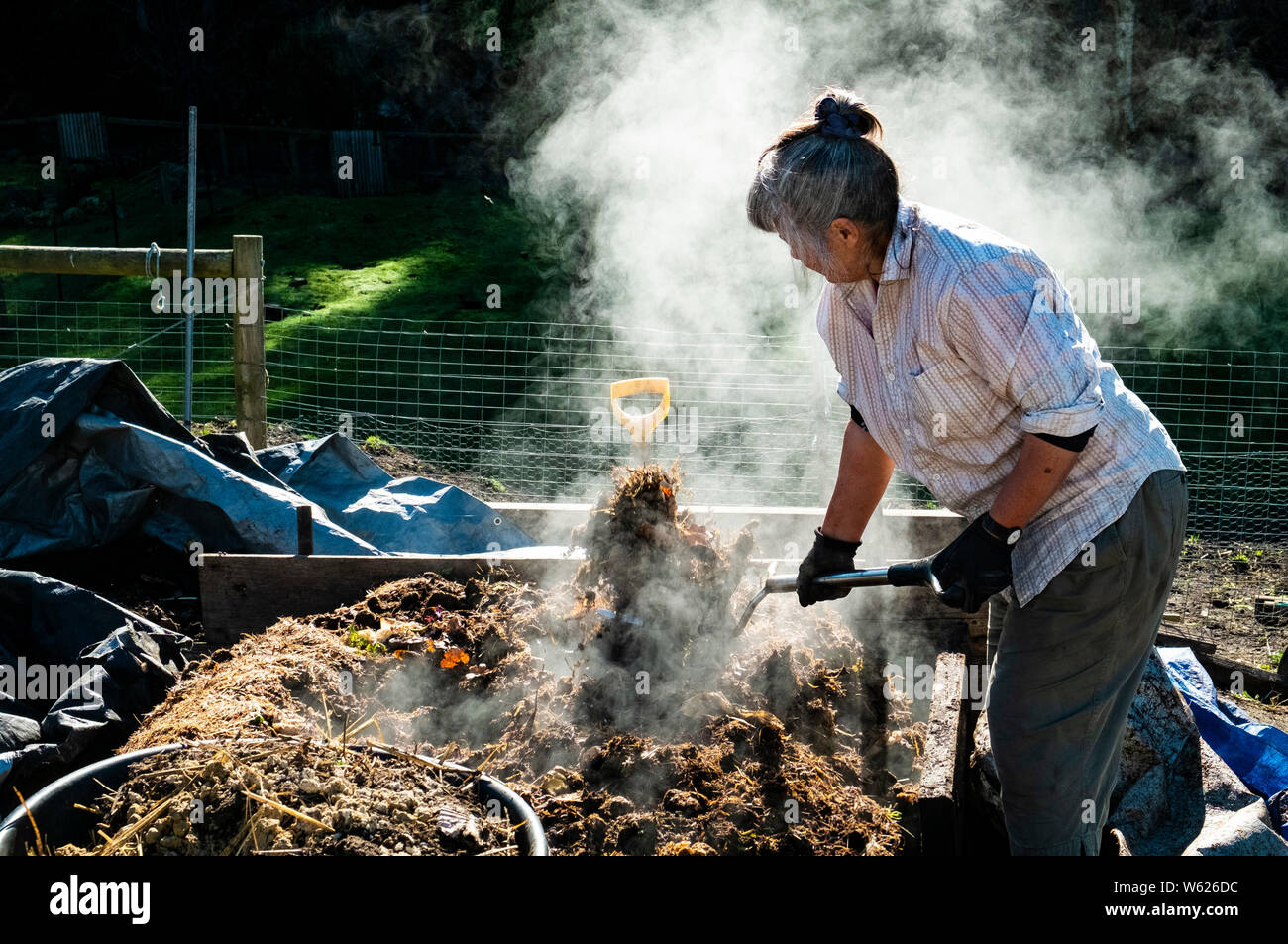 An urban farmer turning a very active and hot compost heap Stock Photo