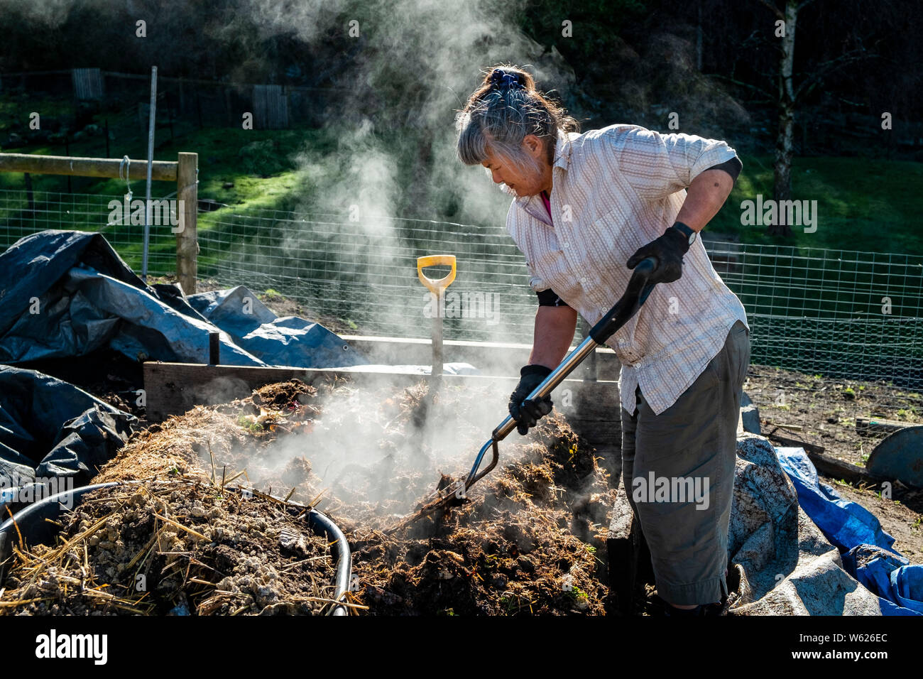 An urban farmer turning a very active and hot compost heap Stock Photo