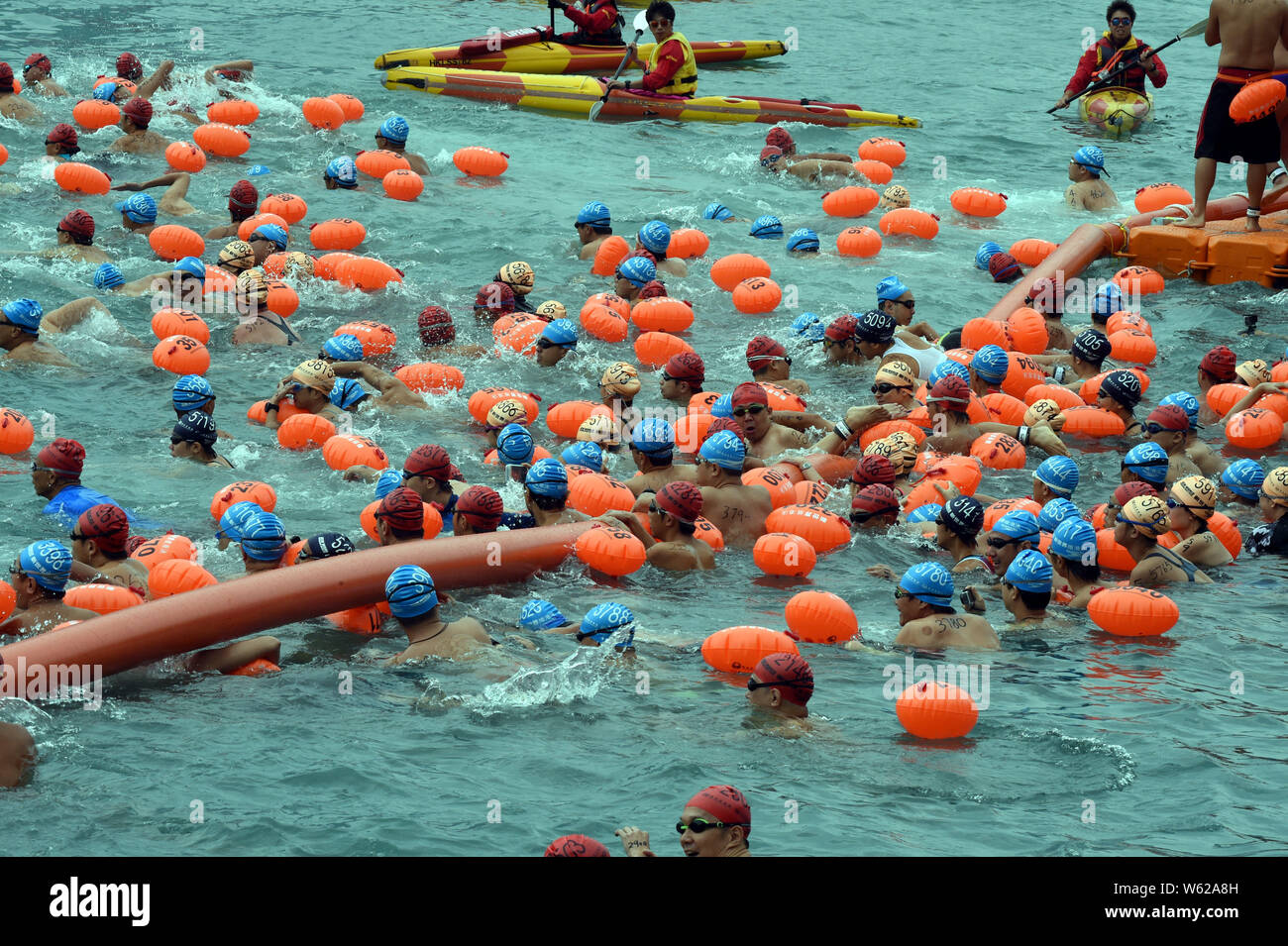 Thousands of swimmers take part in the annual CrossHarbour swim in