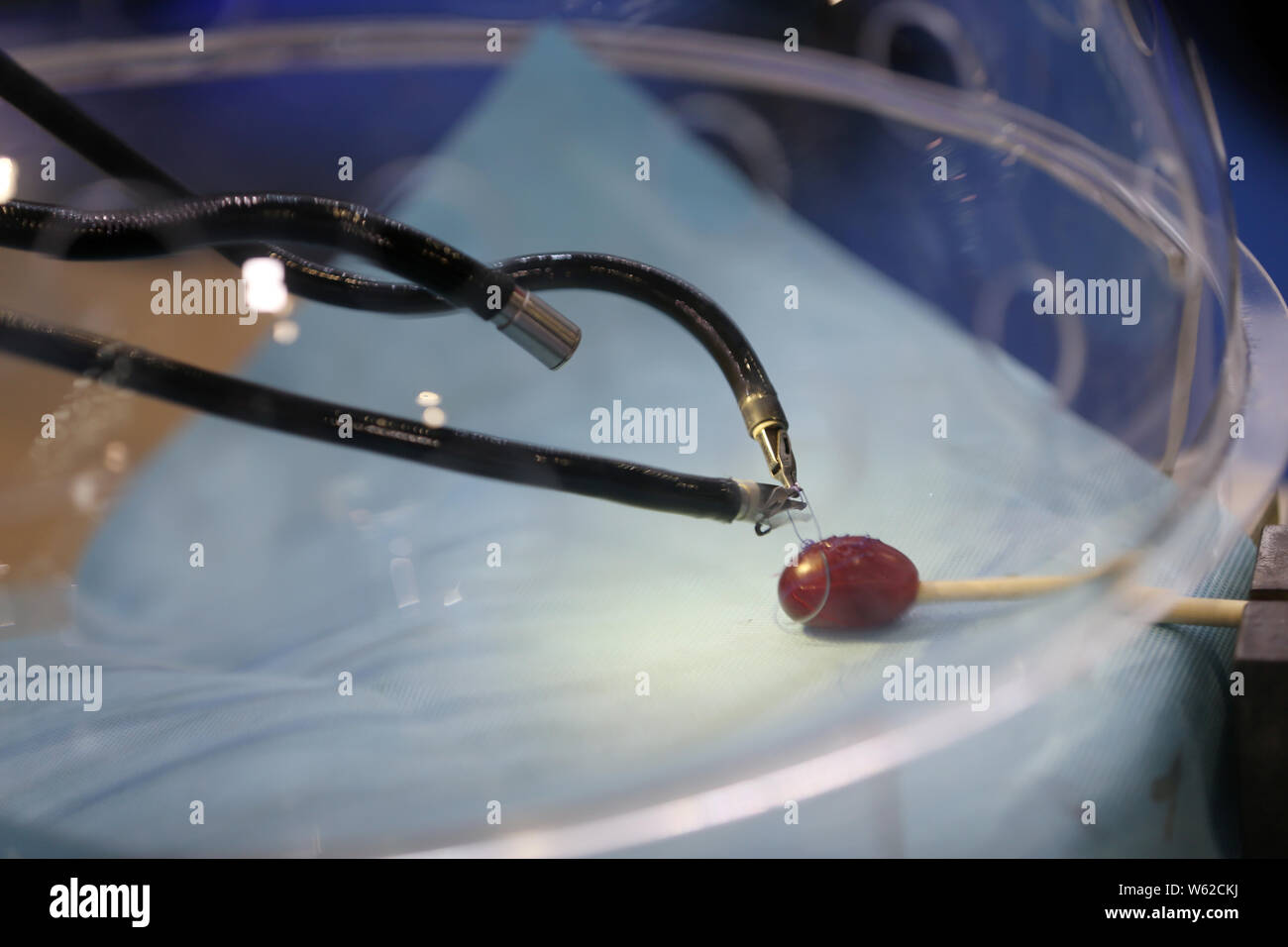 Members of the press look at a porotic laparoscopic surgery robot