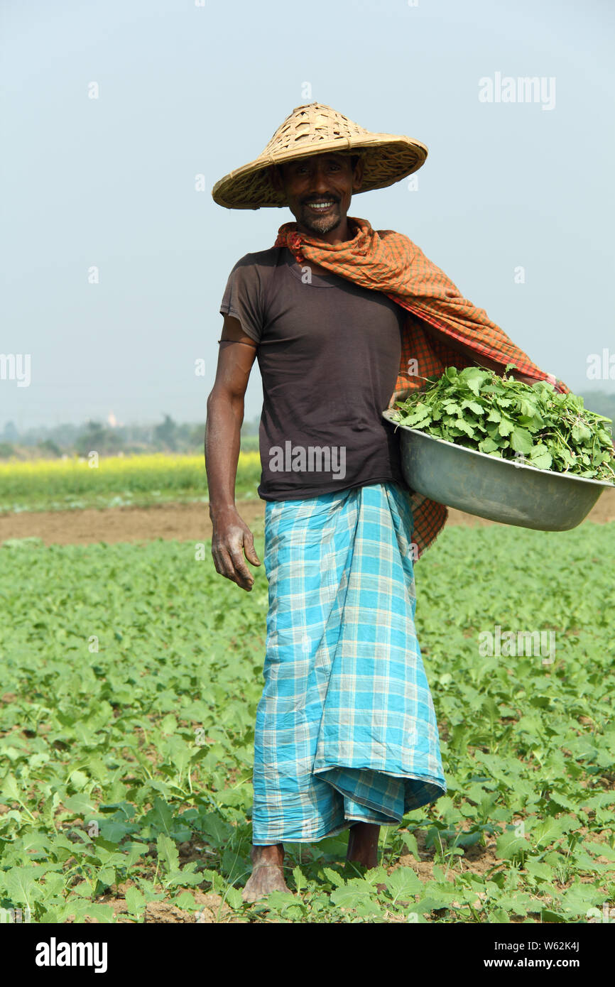Farmer working in a field, Kolkata, West Bengal, India Stock Photo Alamy